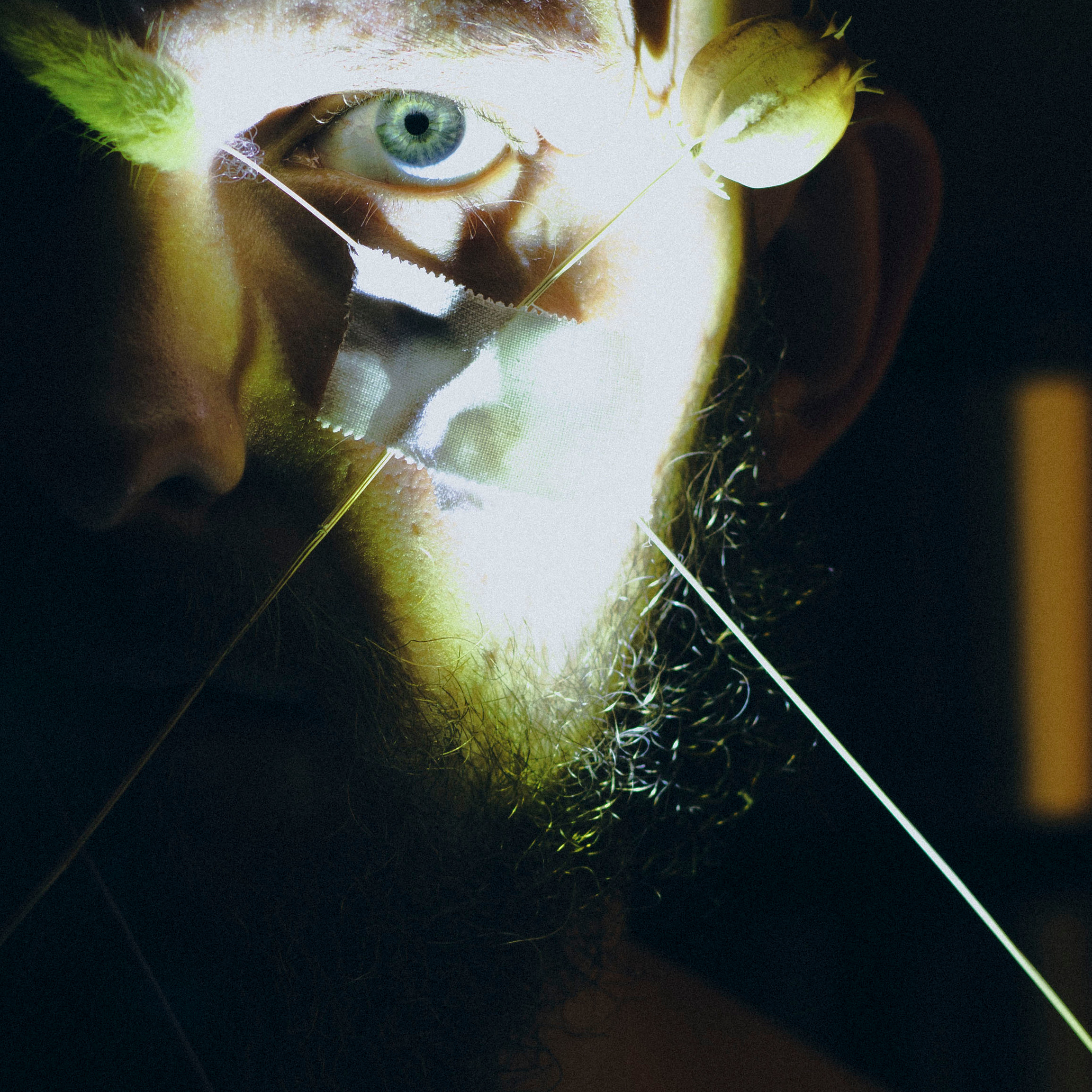 Связаться с Александром Алферовым | Фотограф Новосибирск. ALFEROV PHOTOGRAPHER | Портреты, свет и живые моменты