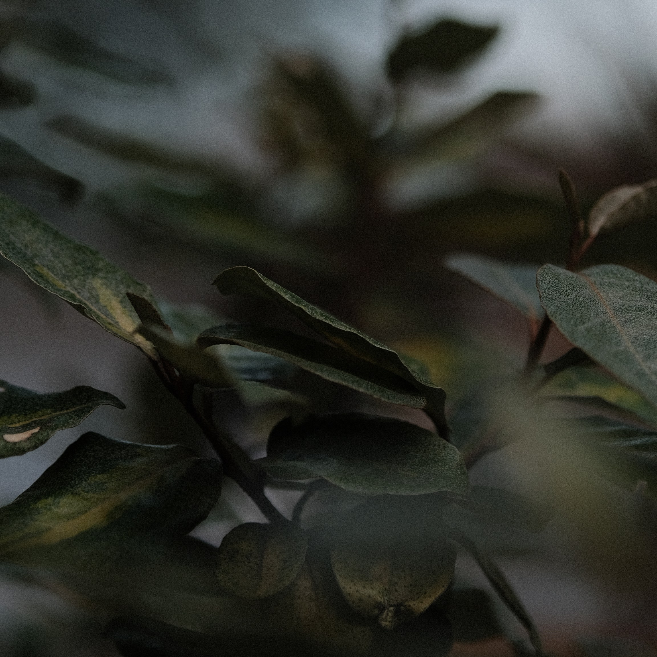 Контакты. GAIGER PARADISE — Фоторай Гайгера | Фотограф МСК