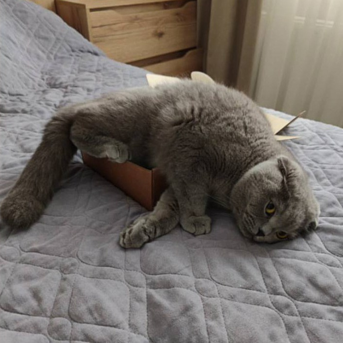 Свадебные фотограф и видеограф Алина и Евгений Кумановские | О нас. Свадебный фотограф и видеограф в Краснодаре | Алина и Евгений Кумановские