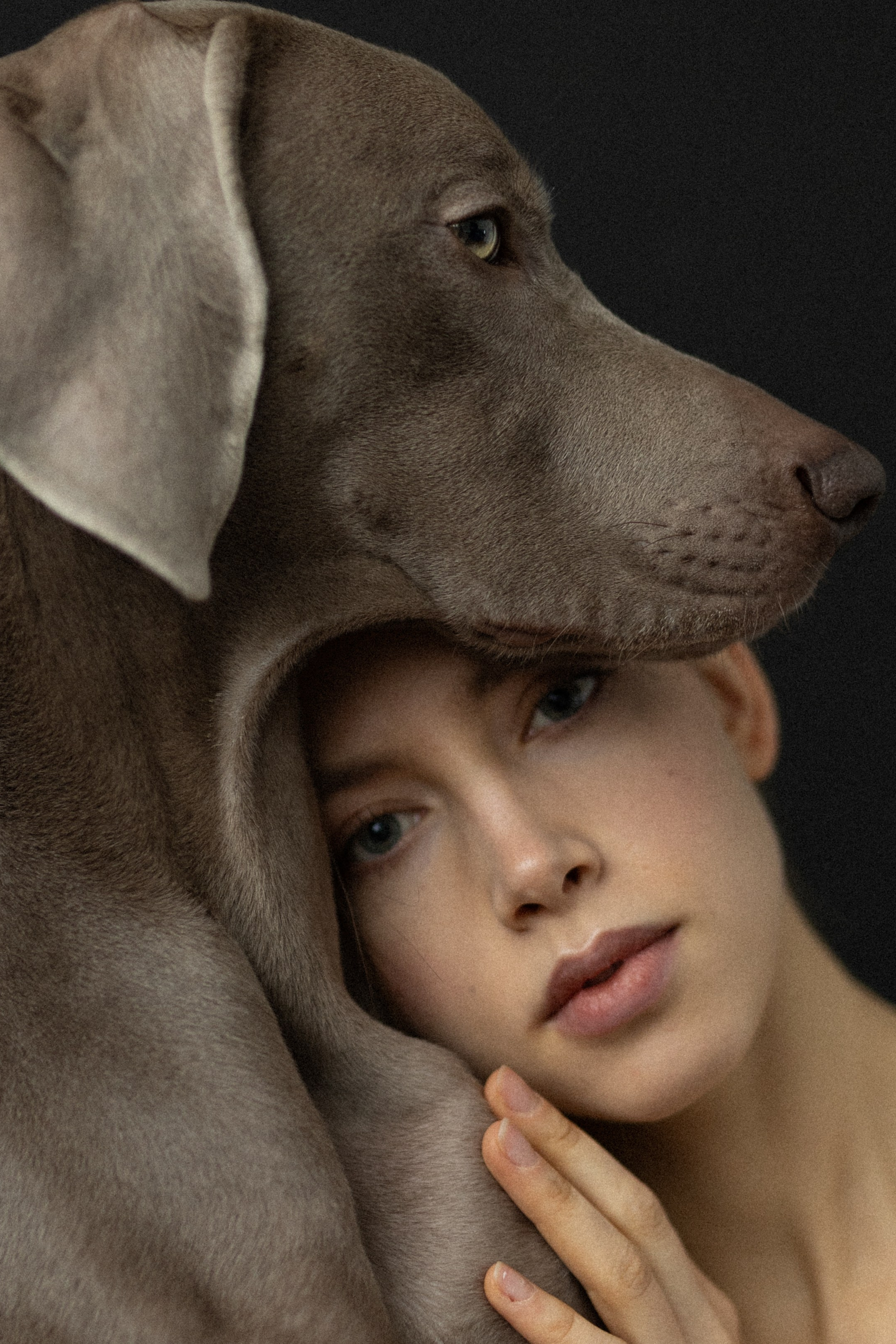 Портфолио. Фотограф-анималист в Москве Кириллова Татьяна