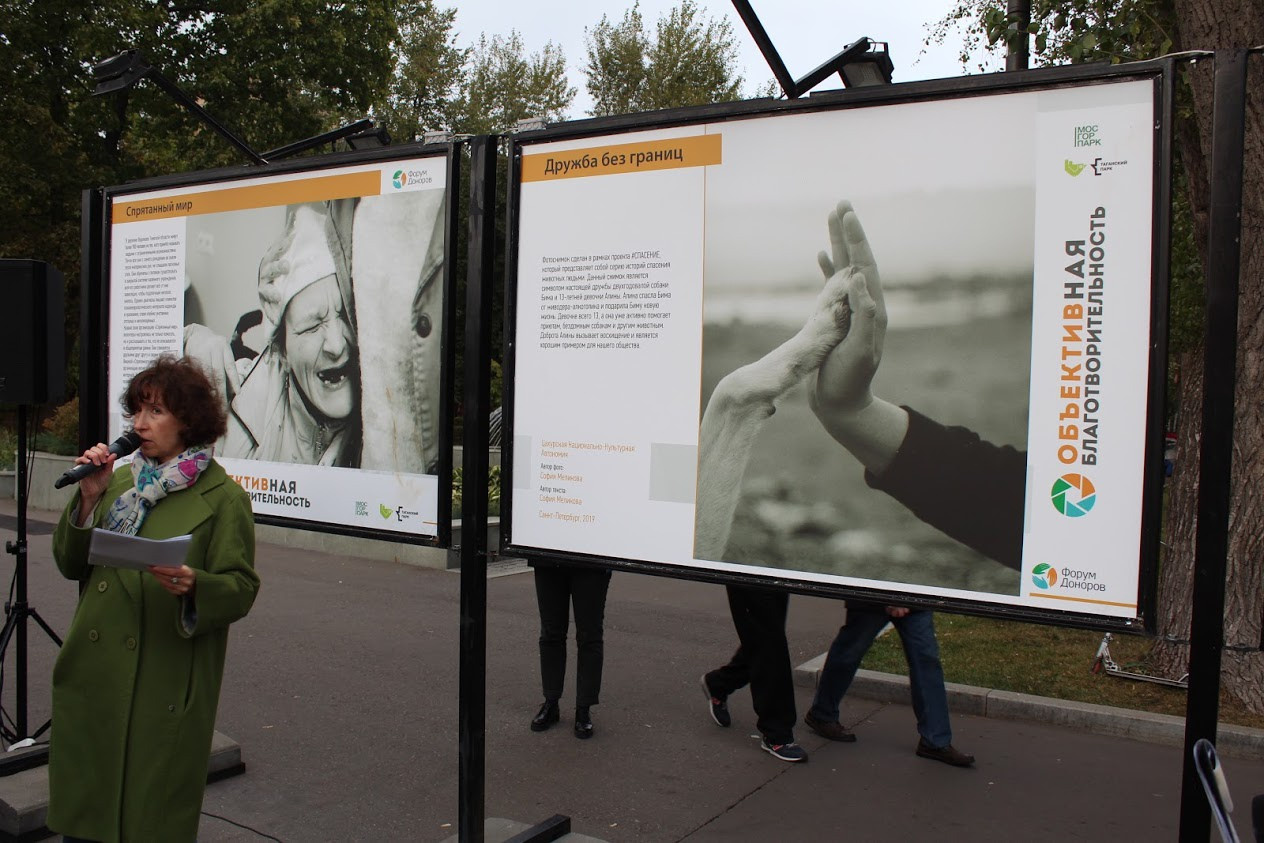 Salvation (2019-2020). Multidisciplinary Artist and Filmmaker Sofia Melikova