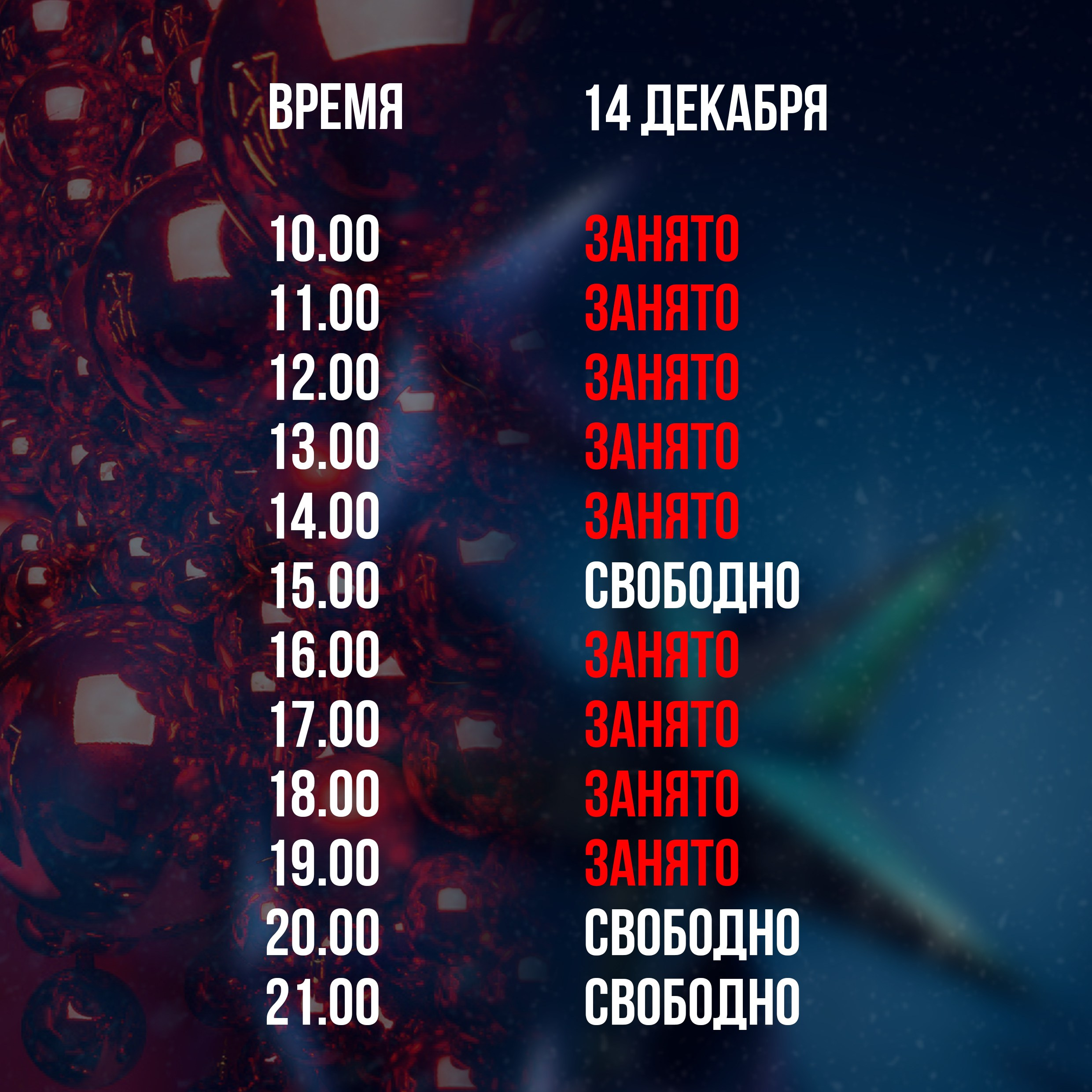 Новогодние фотосессии в студии 24. Свадебный фотограф Никитин Дмитрий Раменское Жуковский Москва