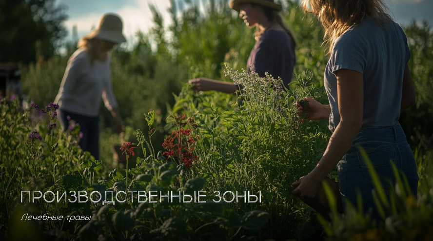 Лавандовая долина