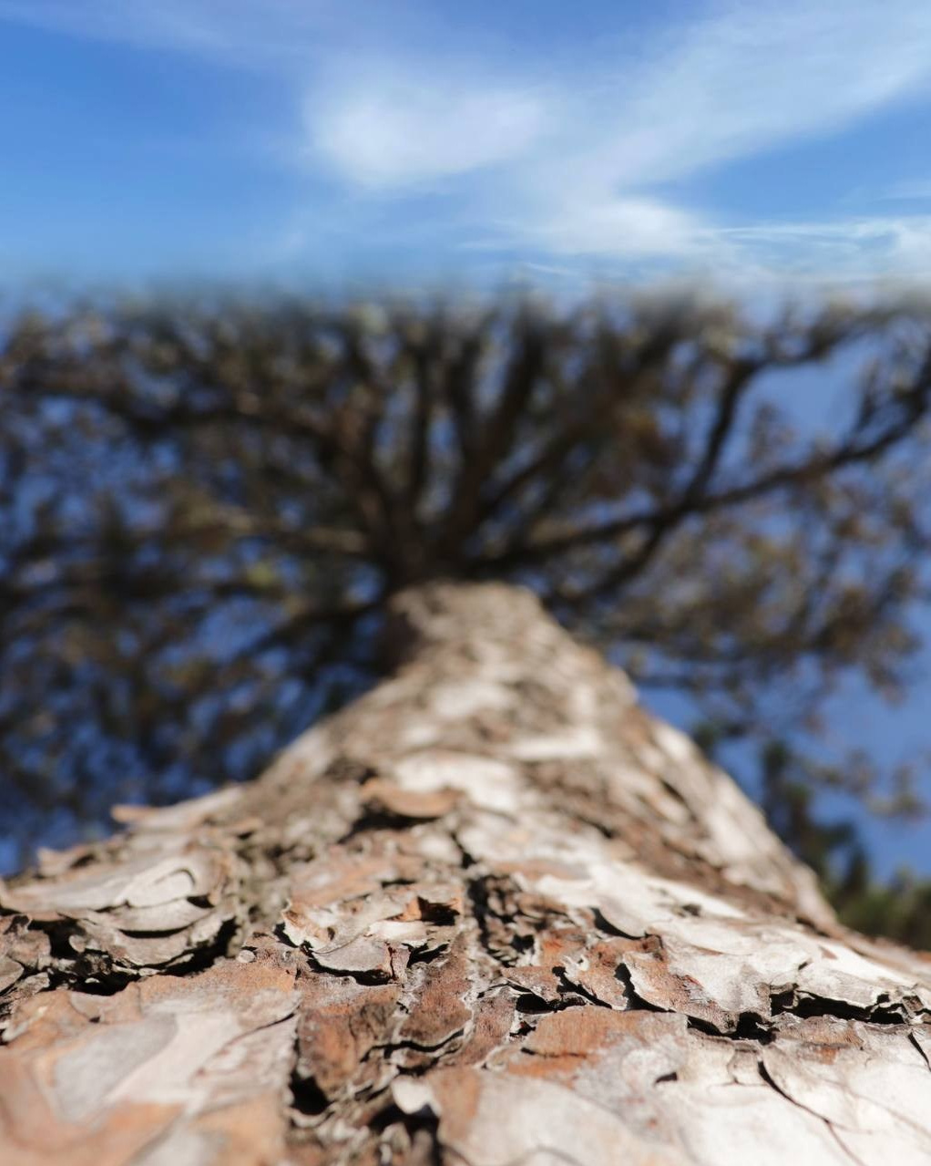 Ира: «Открытия и осознания, которы пришли в процессе путешествия сотворили новую меня». 💗КЛУБ НЕЖНОСТИ К СЕБЕ💗