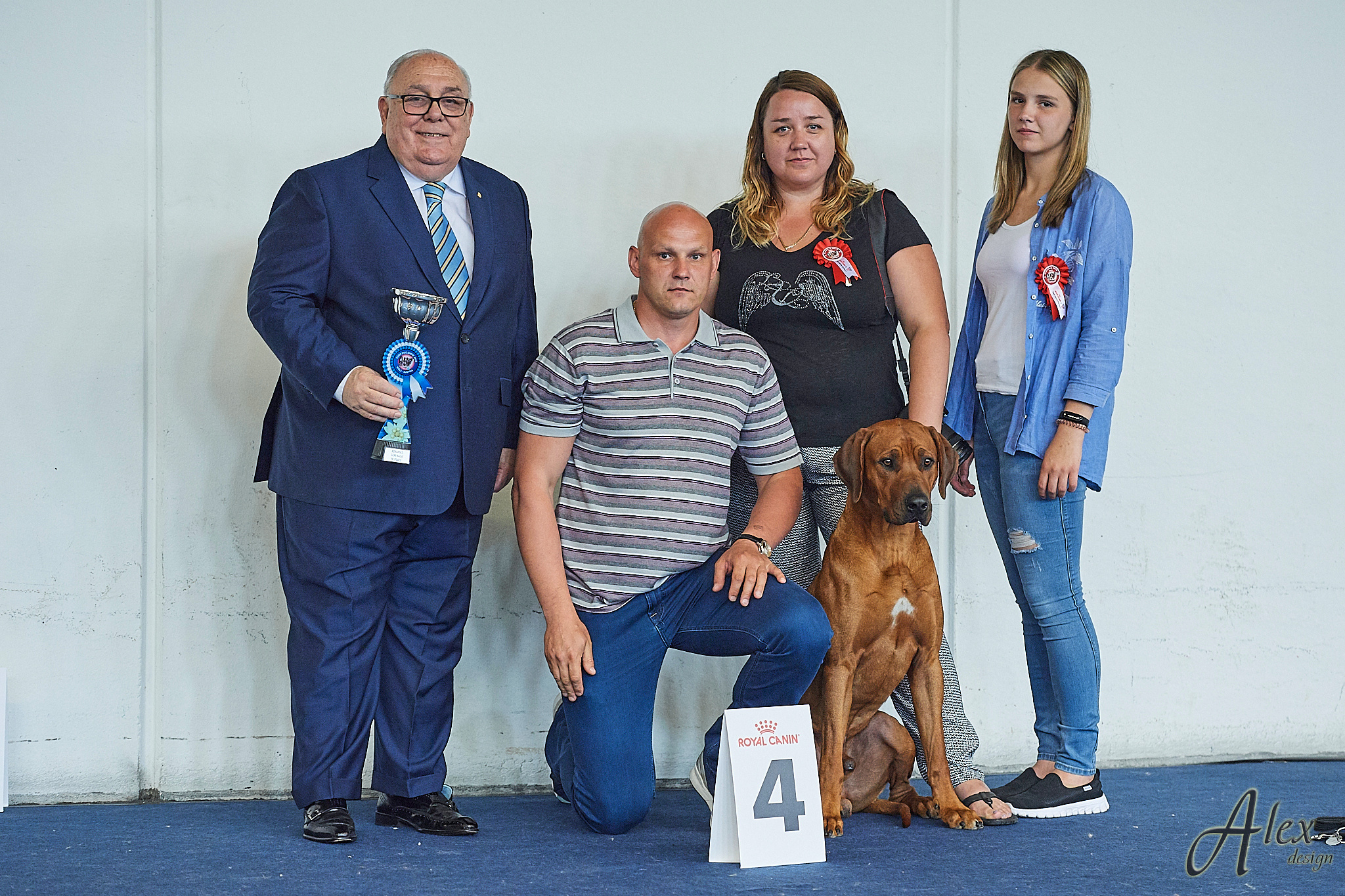 Выставочная деятельность родезийского риджбека Adhamas Geni Nala (Алан. Rhodesian ridgeback Adhamas Geni Nala