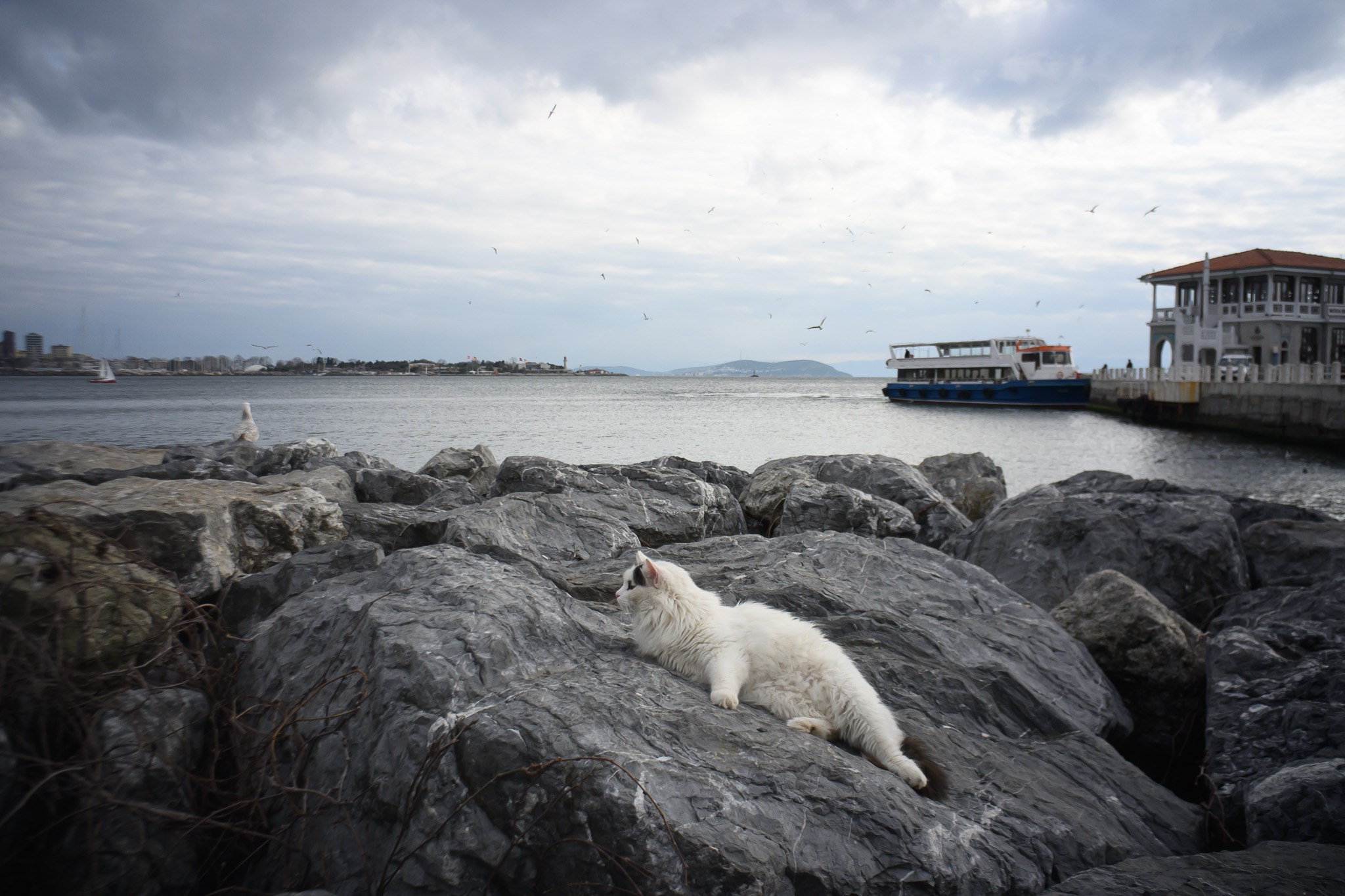 Если ваш сайт не продает, то вот почему. Рекламный и коммерческий фотограф | Георгий Романов