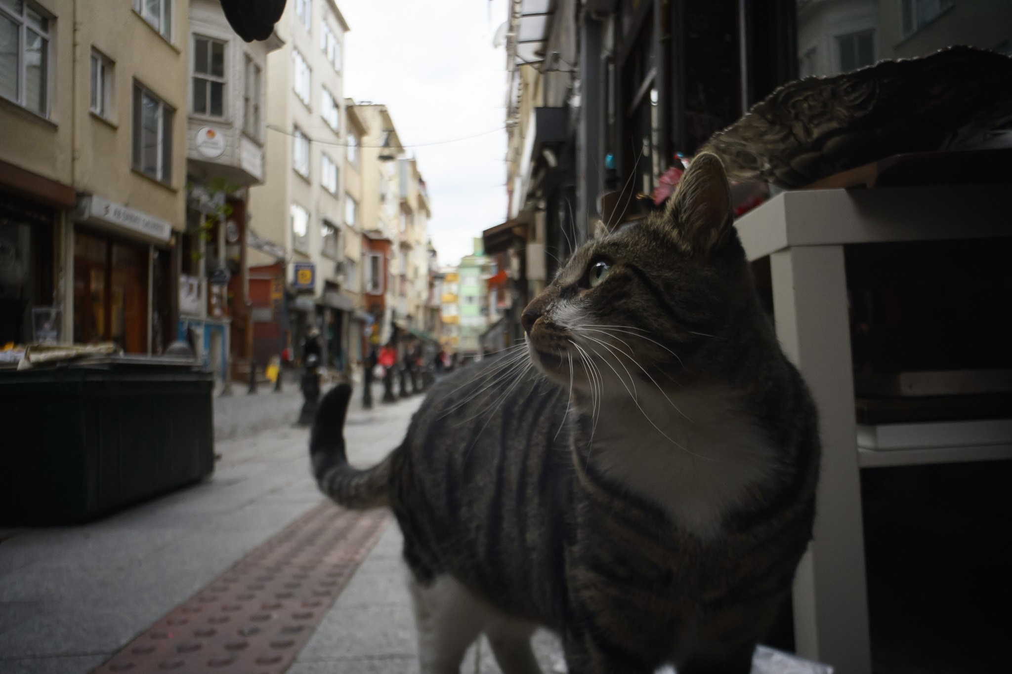 Если ваш сайт не продает, то вот почему. Рекламный и коммерческий фотограф | Георгий Романов
