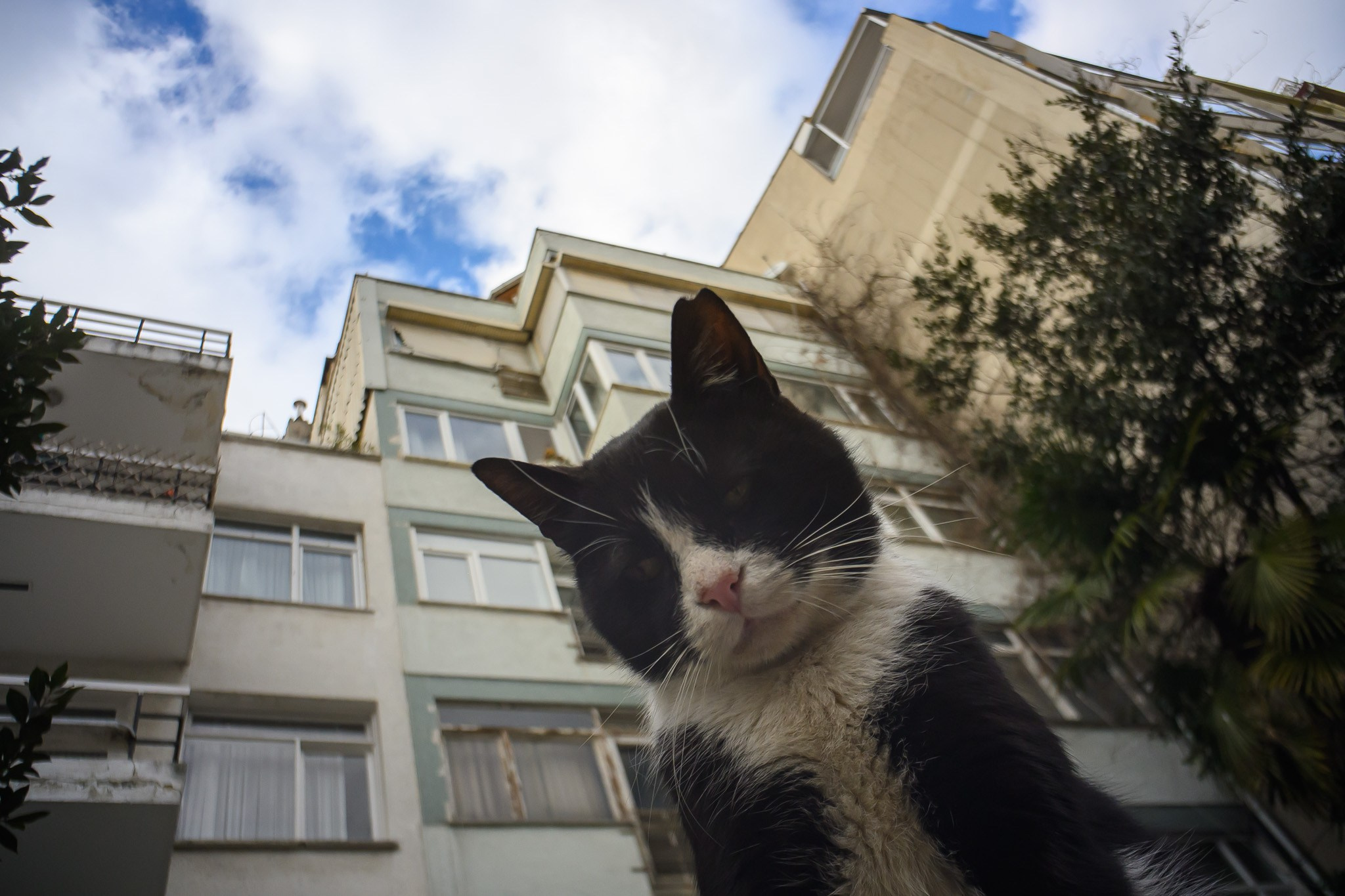 Если ваш сайт не продает, то вот почему. Рекламный и коммерческий фотограф | Георгий Романов