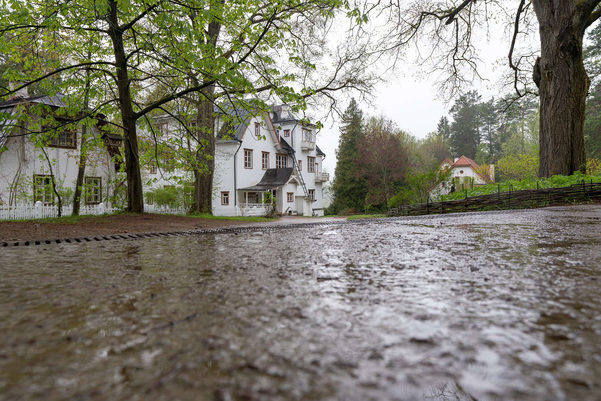 Государственный мемориальный историко-художественныйи природный музей-заповедник Василия Дмитриевича Поленова в дождь