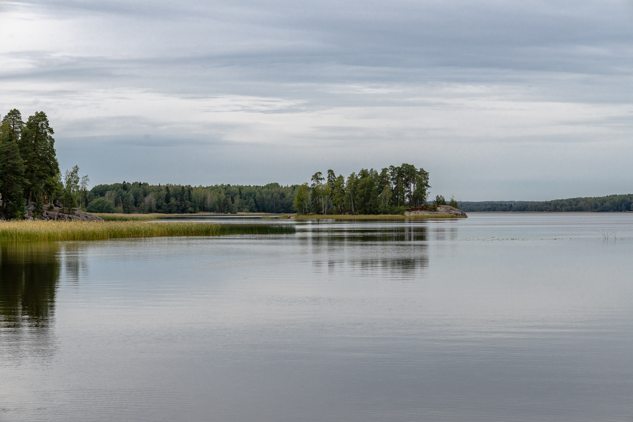 Парк Монрепо в Выборге