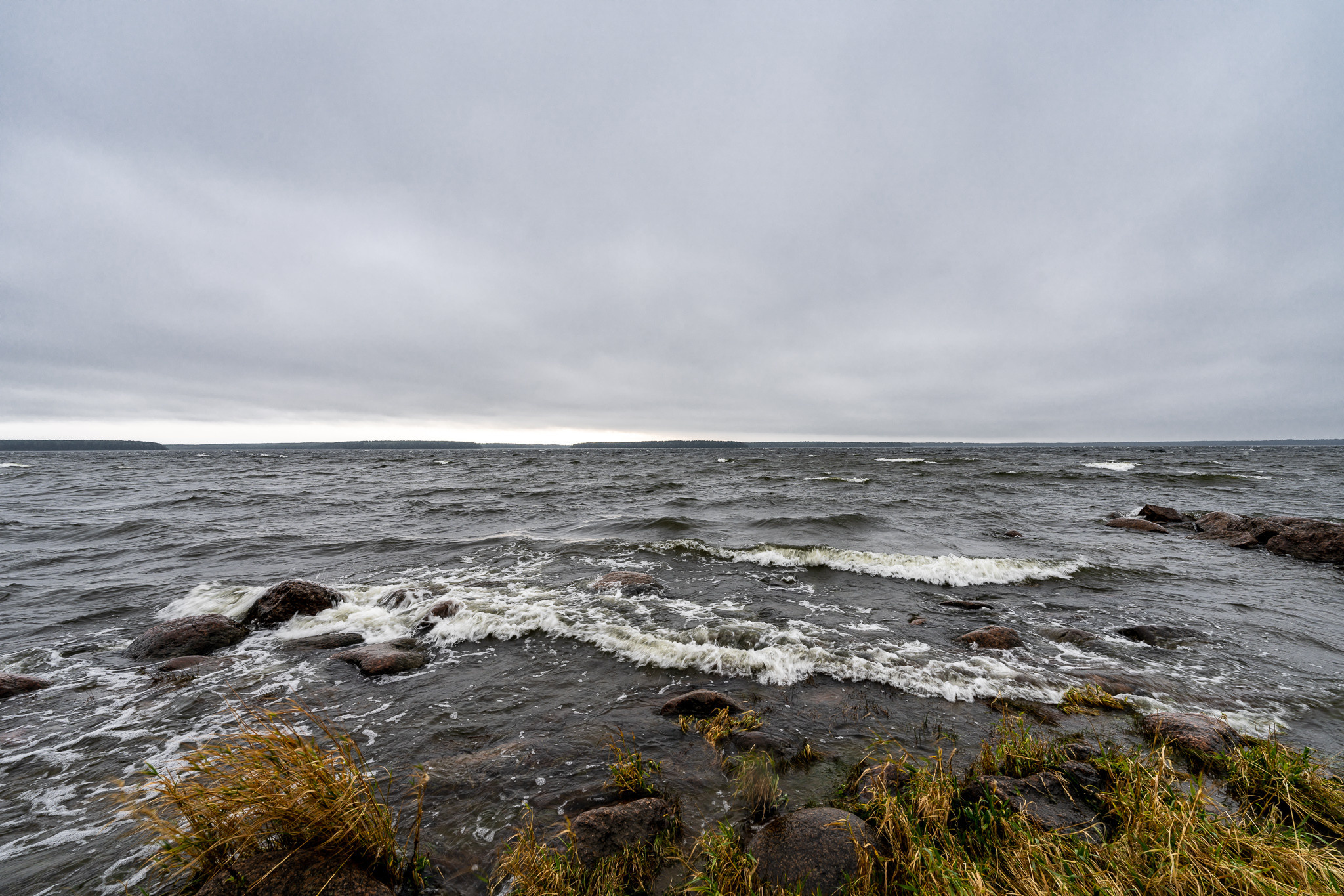 Финский залив