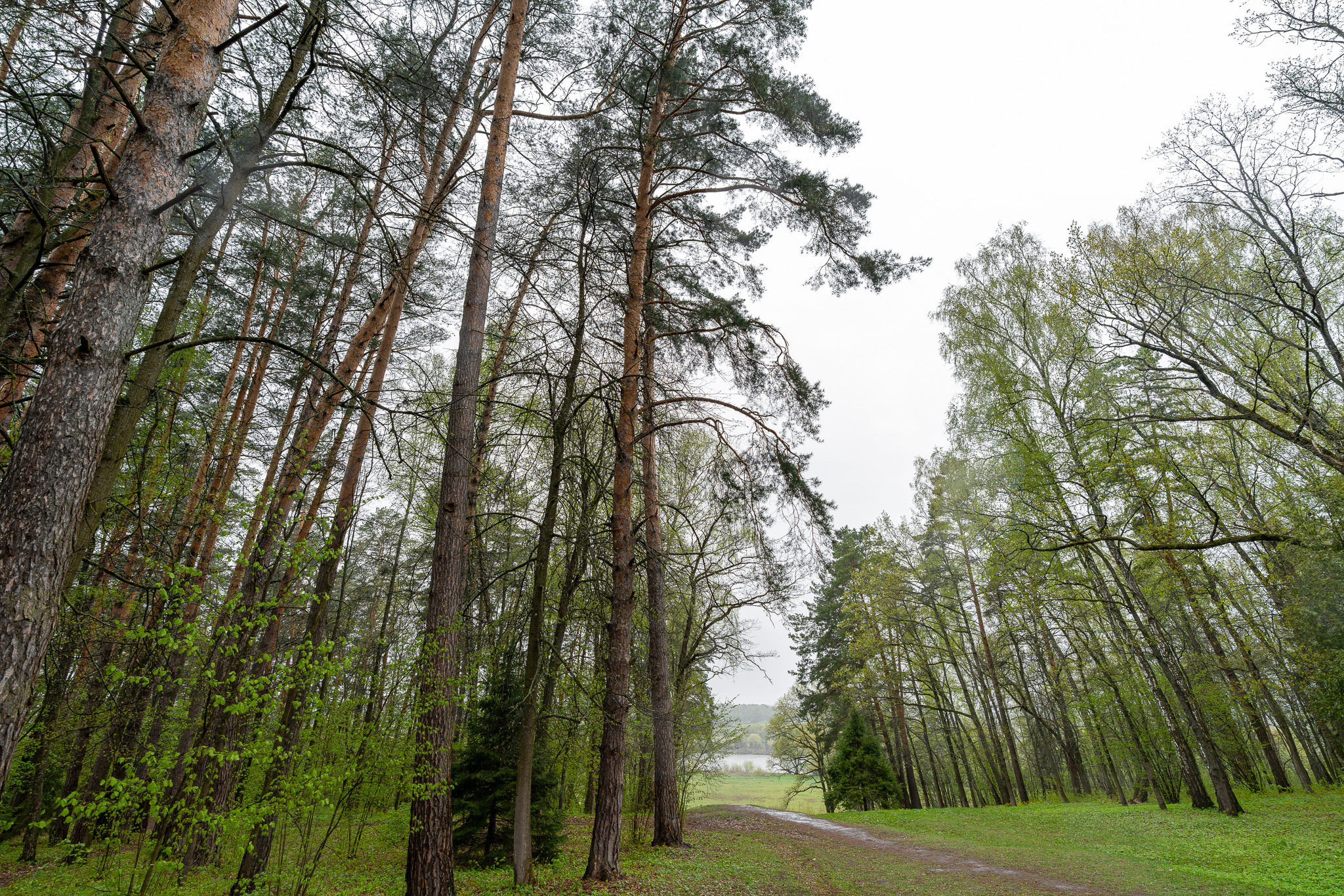 Государственный мемориальный историко-художественныйи природный музей-заповедник Василия Дмитриевича Поленова в дождь