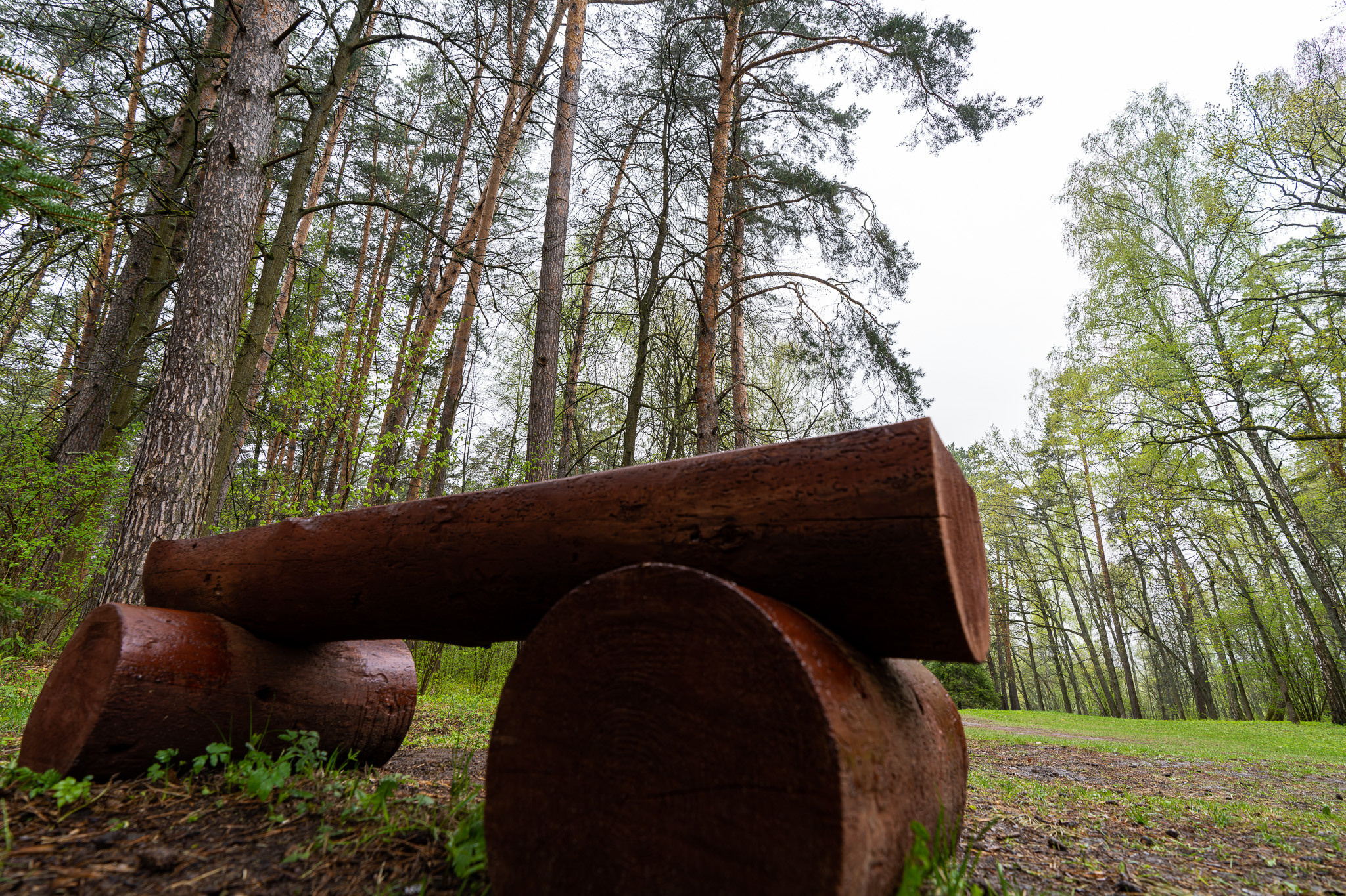 Государственный мемориальный историко-художественныйи природный музей-заповедник Василия Дмитриевича Поленова в дождь