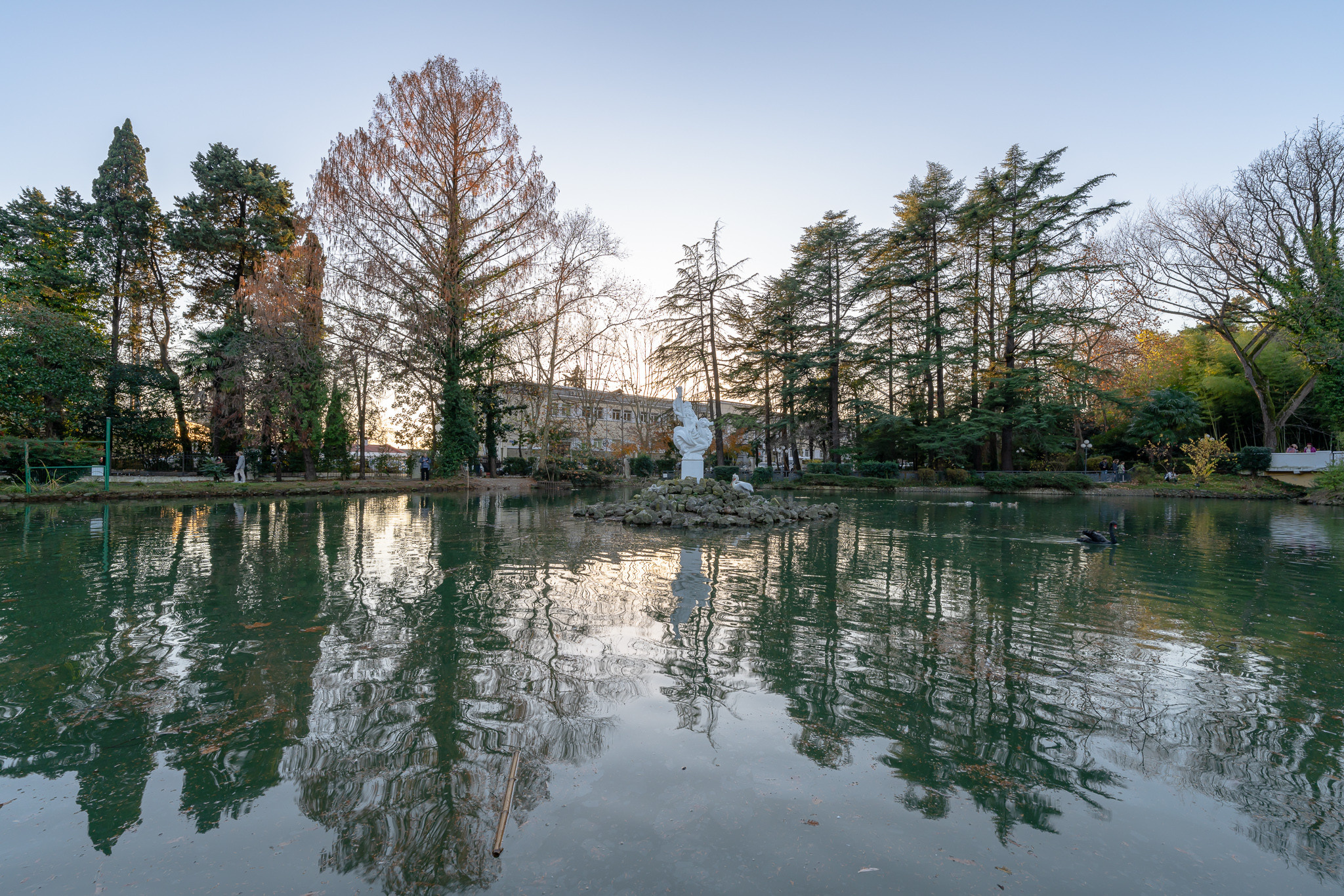 Пруд в дендрарии в Сочи