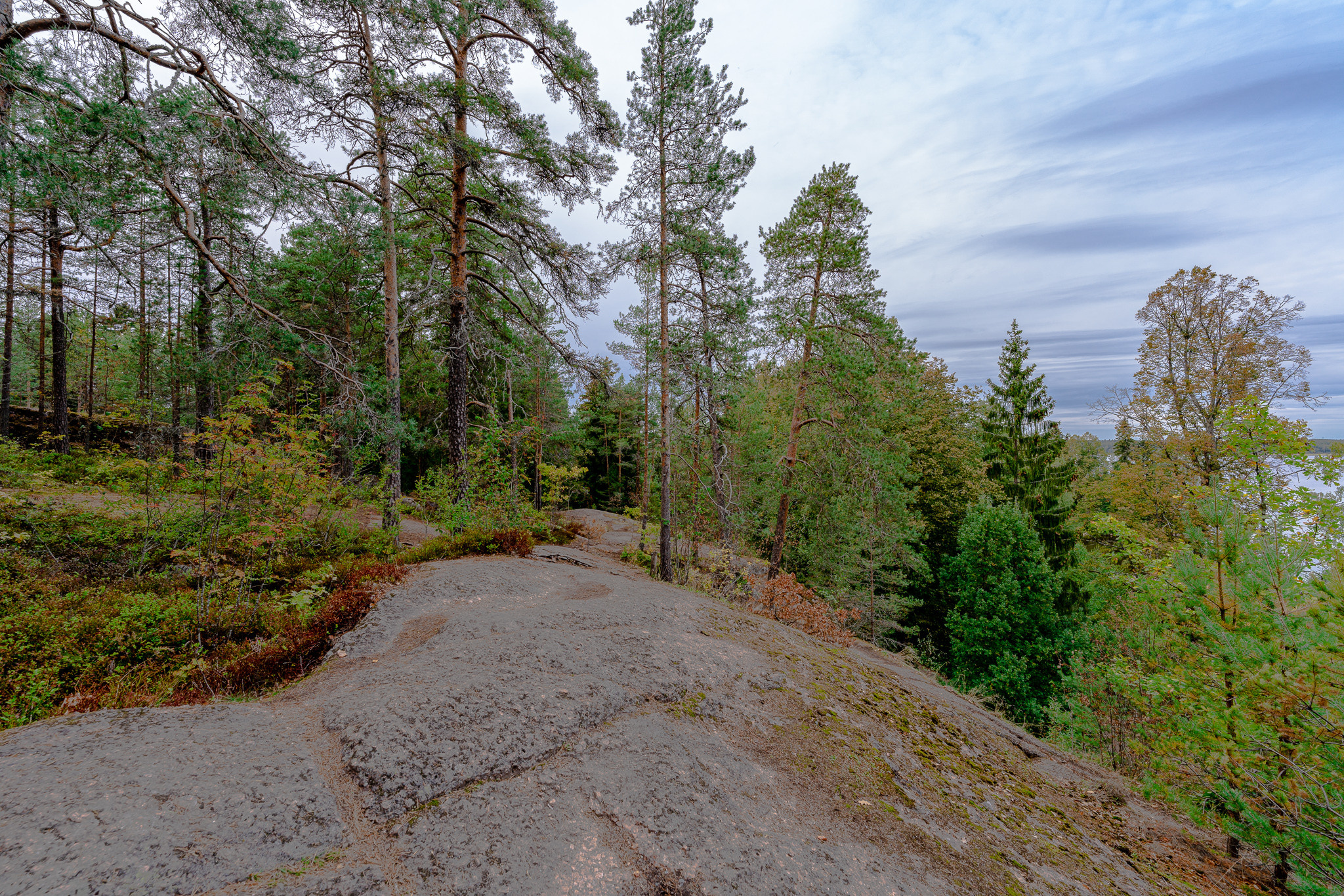 Парк Монрепо в Выборге