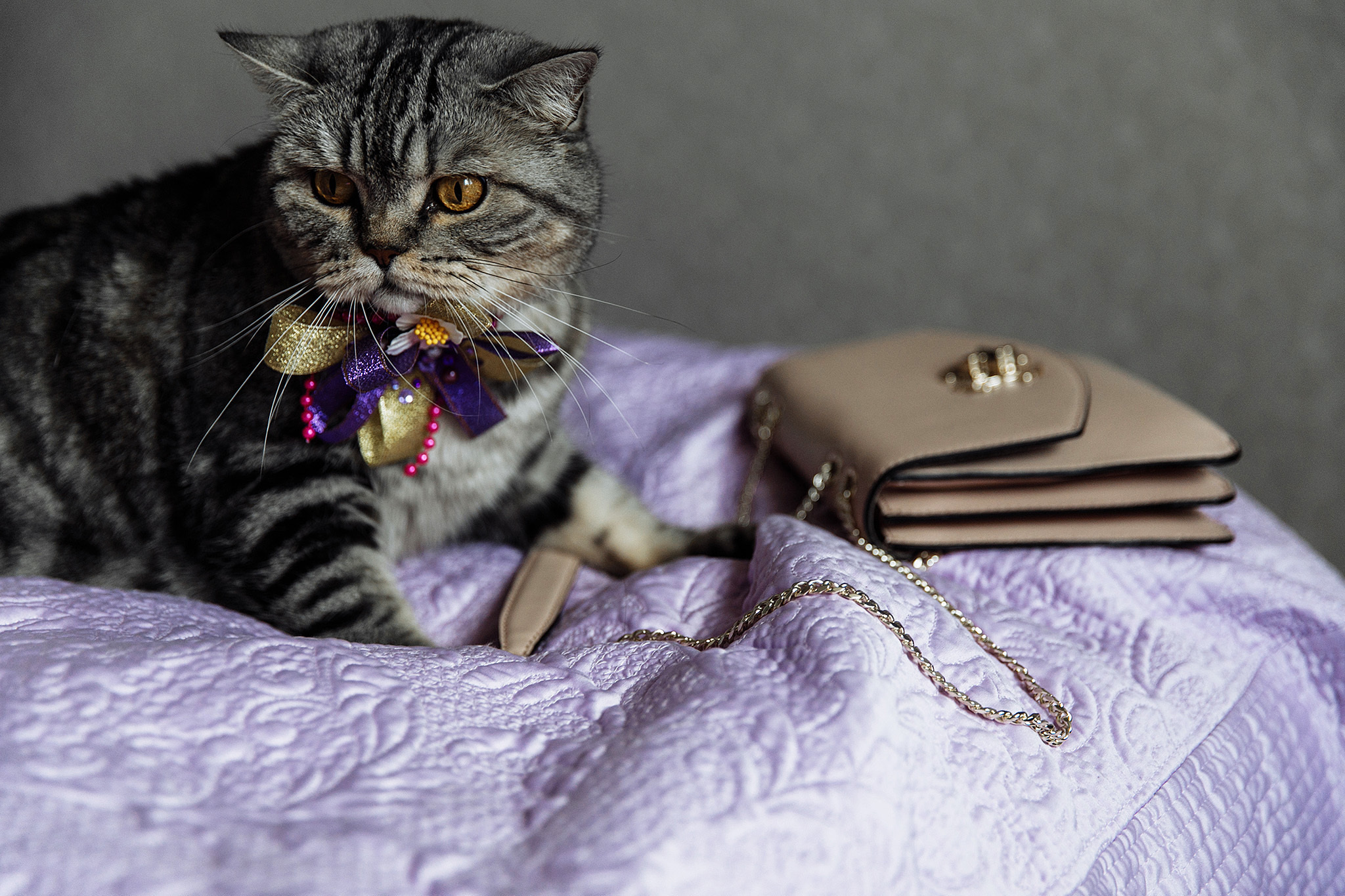 27 июля 2019. Анонс свадьбы. Фотограф Игорь Цаплин