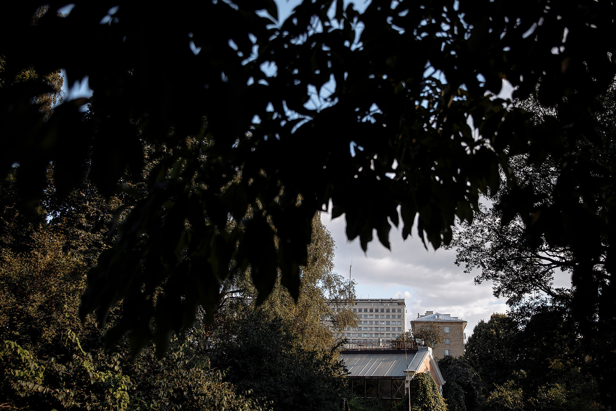 Анонс со свадьбы Ильи и Галины от 09 августа 2018. Фотограф Игорь Цаплин