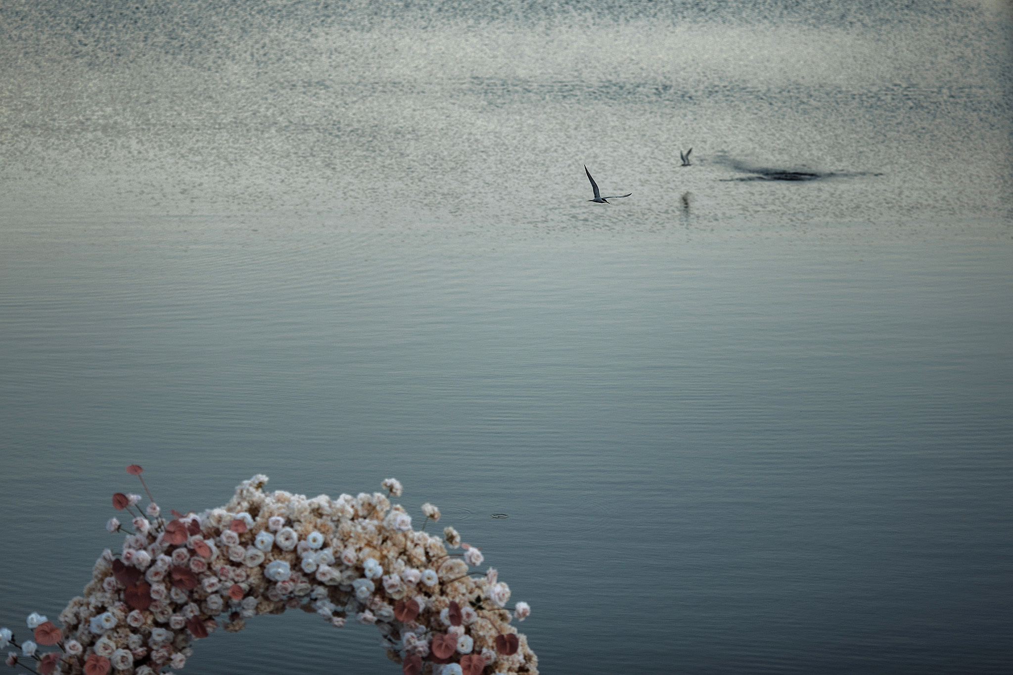 Очень много красоты. Фотограф Игорь Цаплин