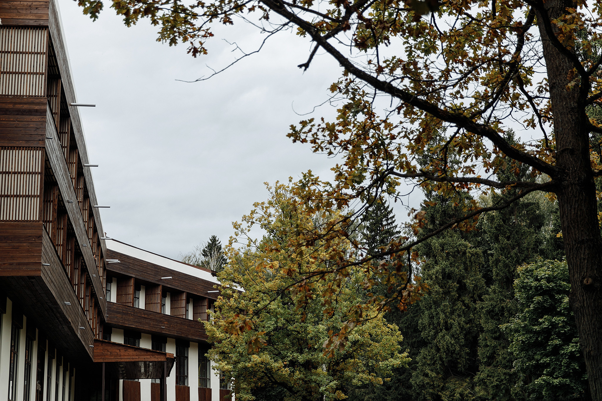 17 августа 2019. Анонс свадьбы. Фотограф Игорь Цаплин