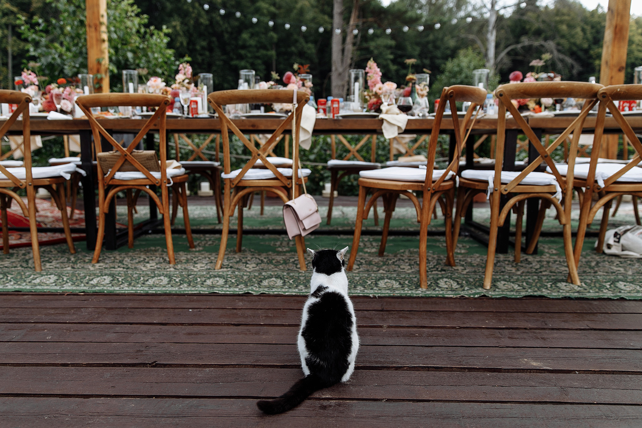 08 августа 2019. Анонс свадьбы. Фотограф Игорь Цаплин