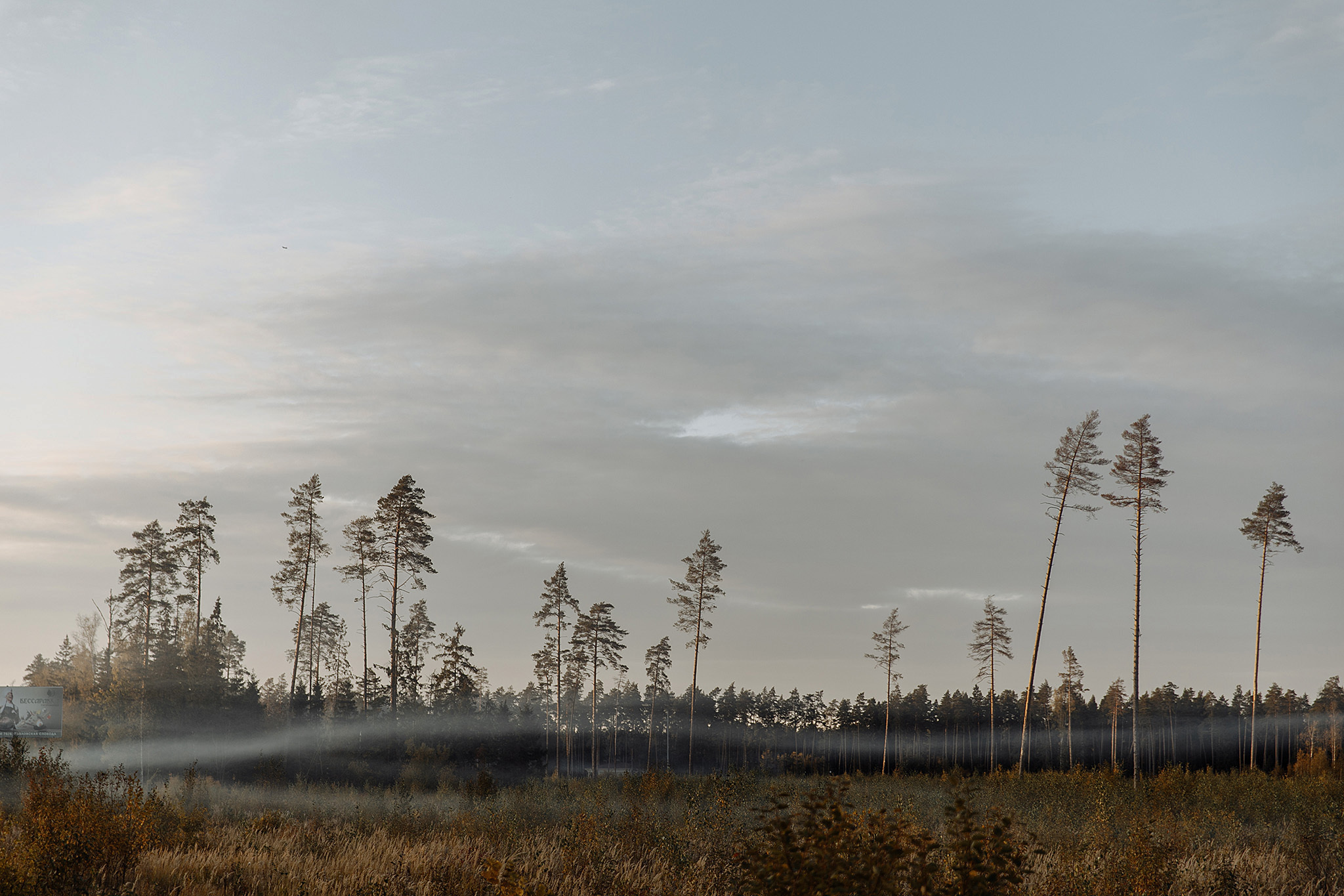 26 сентября 2019. Анонс свадьбы. Фотограф Игорь Цаплин