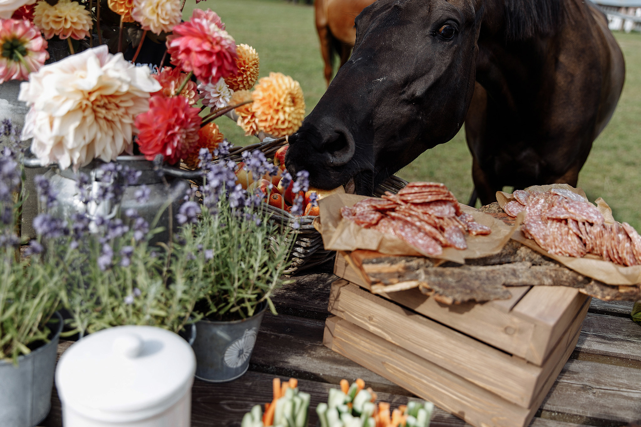 08 августа 2019. Анонс свадьбы. Фотограф Игорь Цаплин