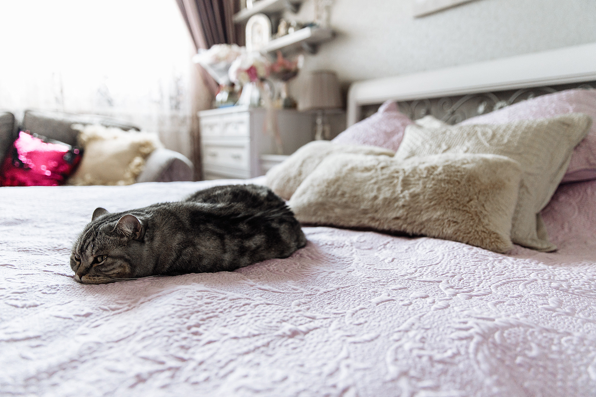 27 июля 2019. Анонс свадьбы. Фотограф Игорь Цаплин