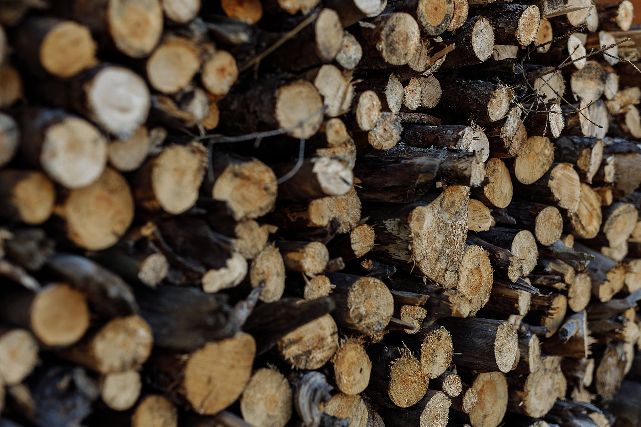 08 августа 2019. Анонс свадьбы. Фотограф Игорь Цаплин