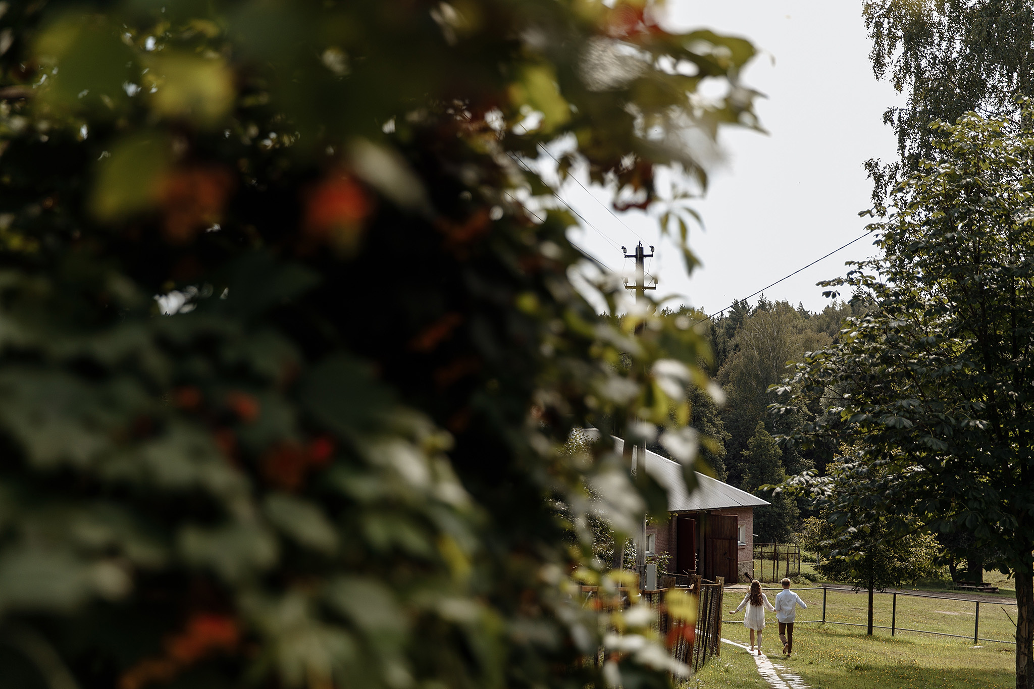 08 августа 2019. Анонс свадьбы. Фотограф Игорь Цаплин