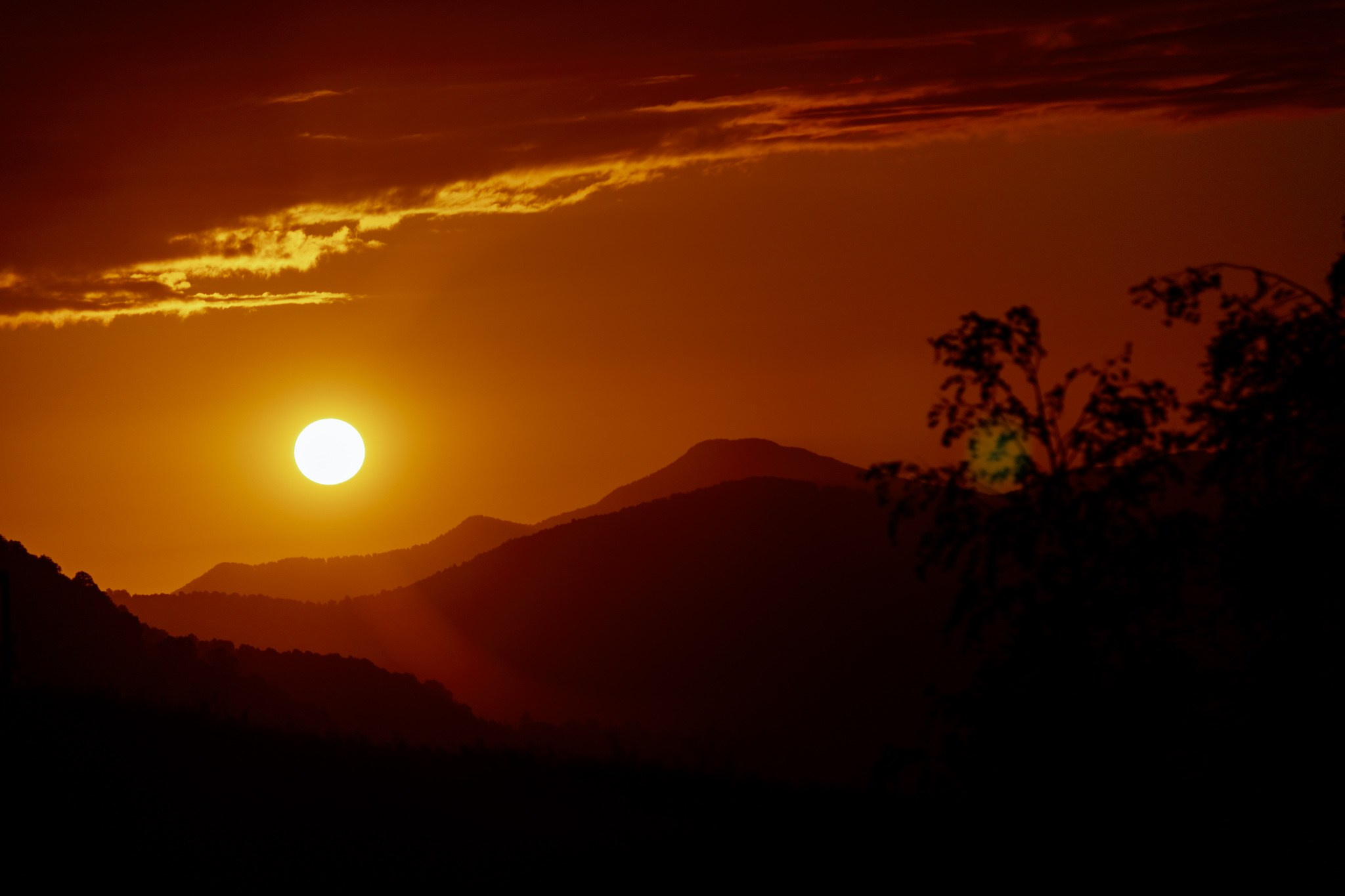 Контакты. Спортивный фотограф Тремпольцева Анна