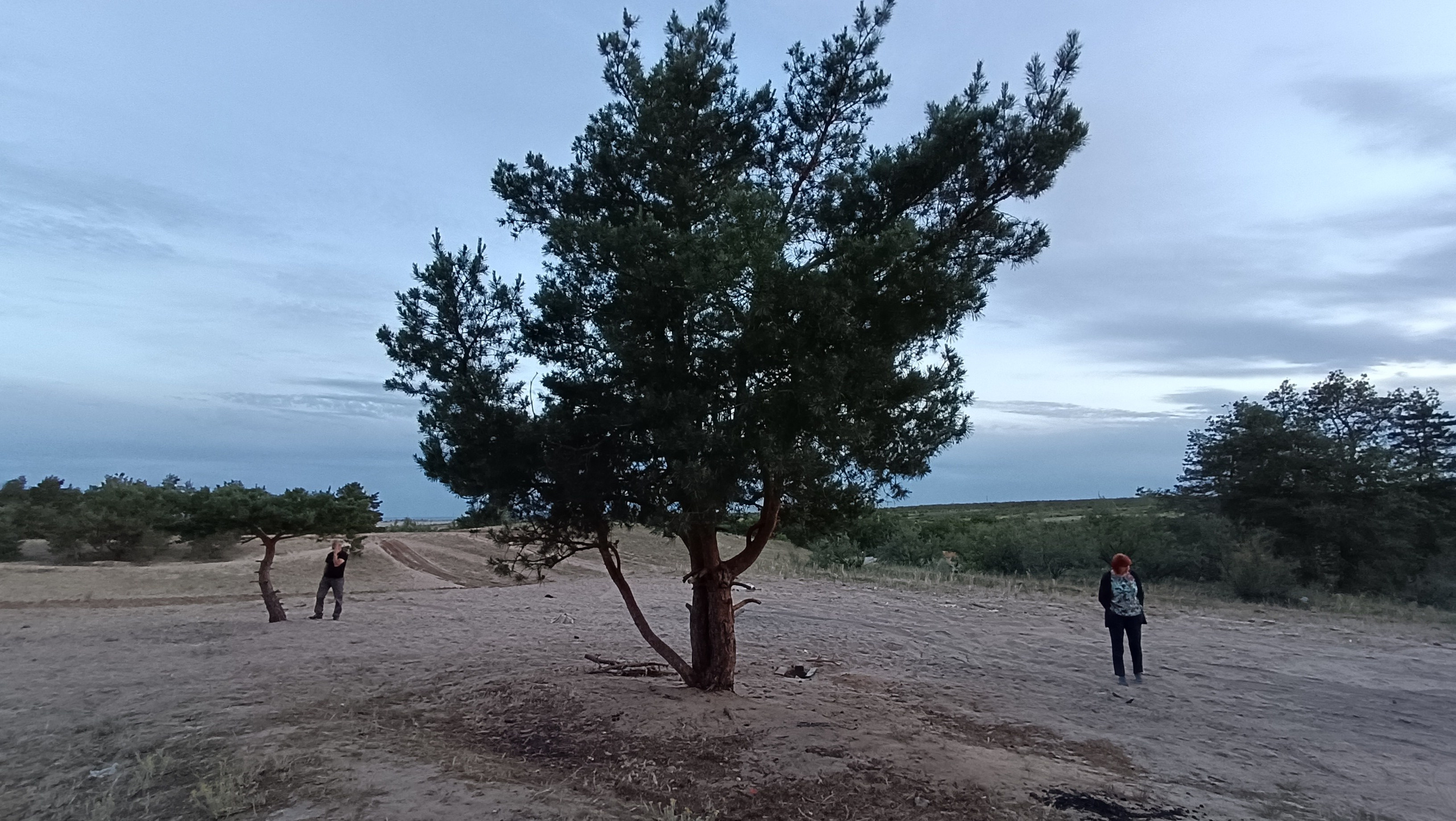 Читальный зал. Марина Рыбкина — Глубинная психология