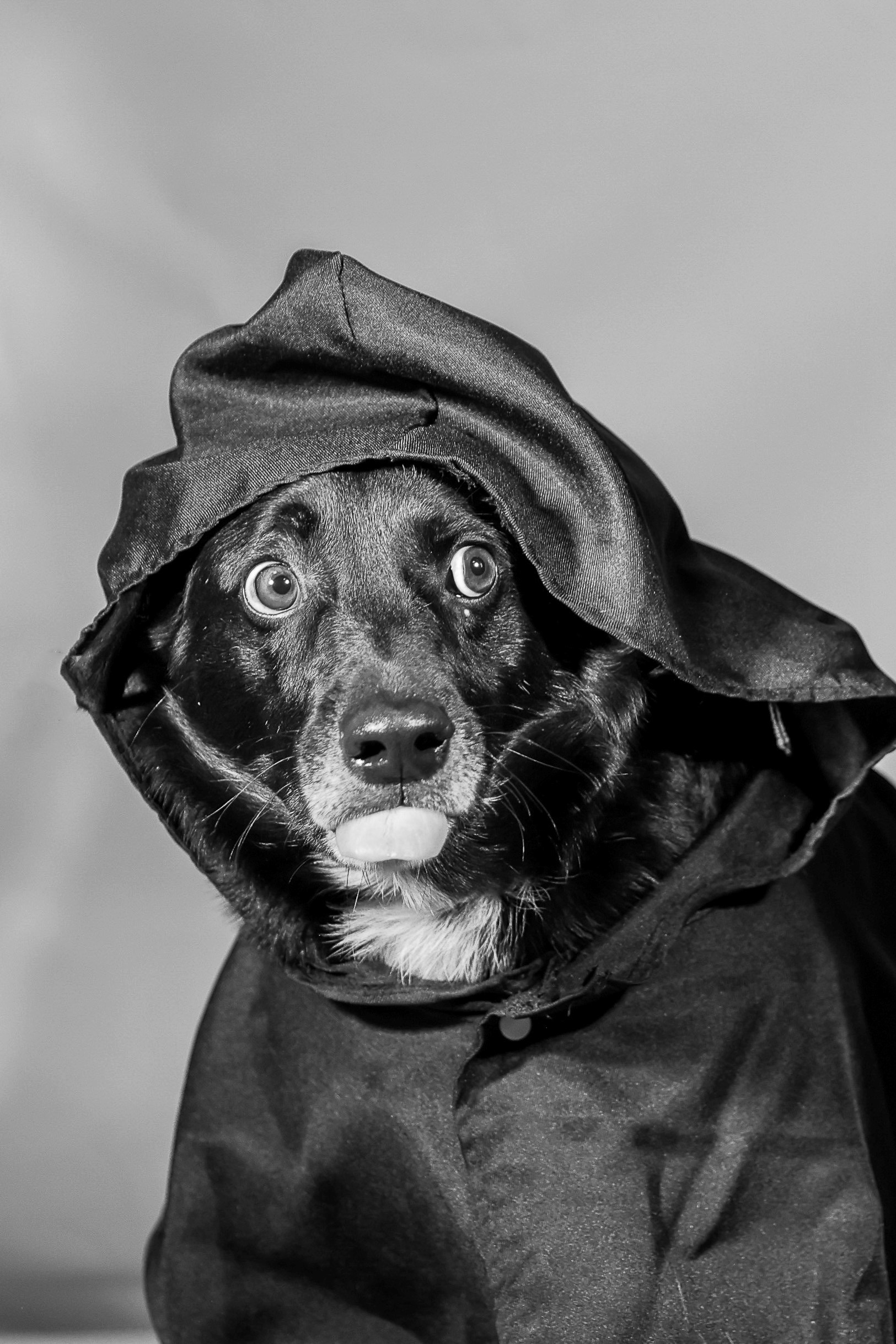 Приют четвероногий АНГЕЛ. Фотограф 📸 семейный, предметный, репортажный