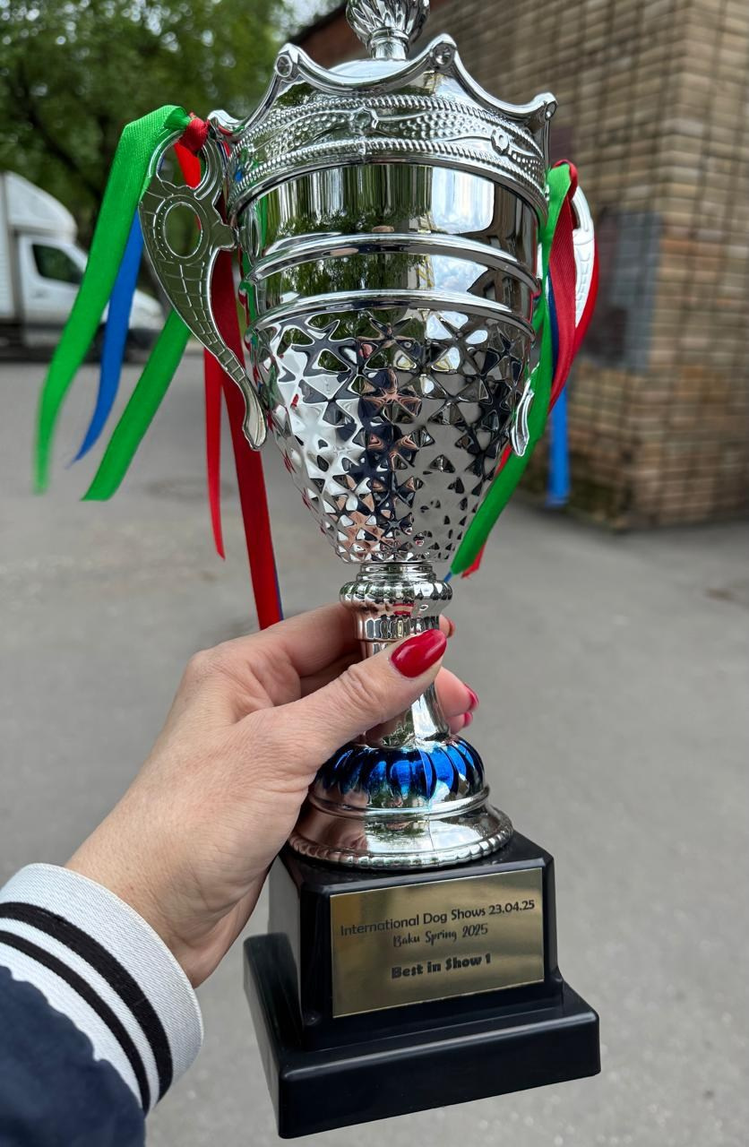Международная выставка ранга CACIB «Baku spring 2025». Питомник собак породы вест хайленд вайт терьер в Москве
