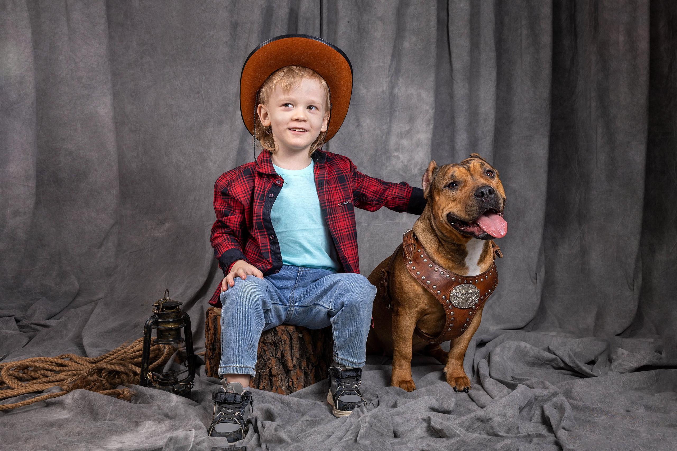 Фоны. Фотограф-анималист в Омске Екатерина Маричева