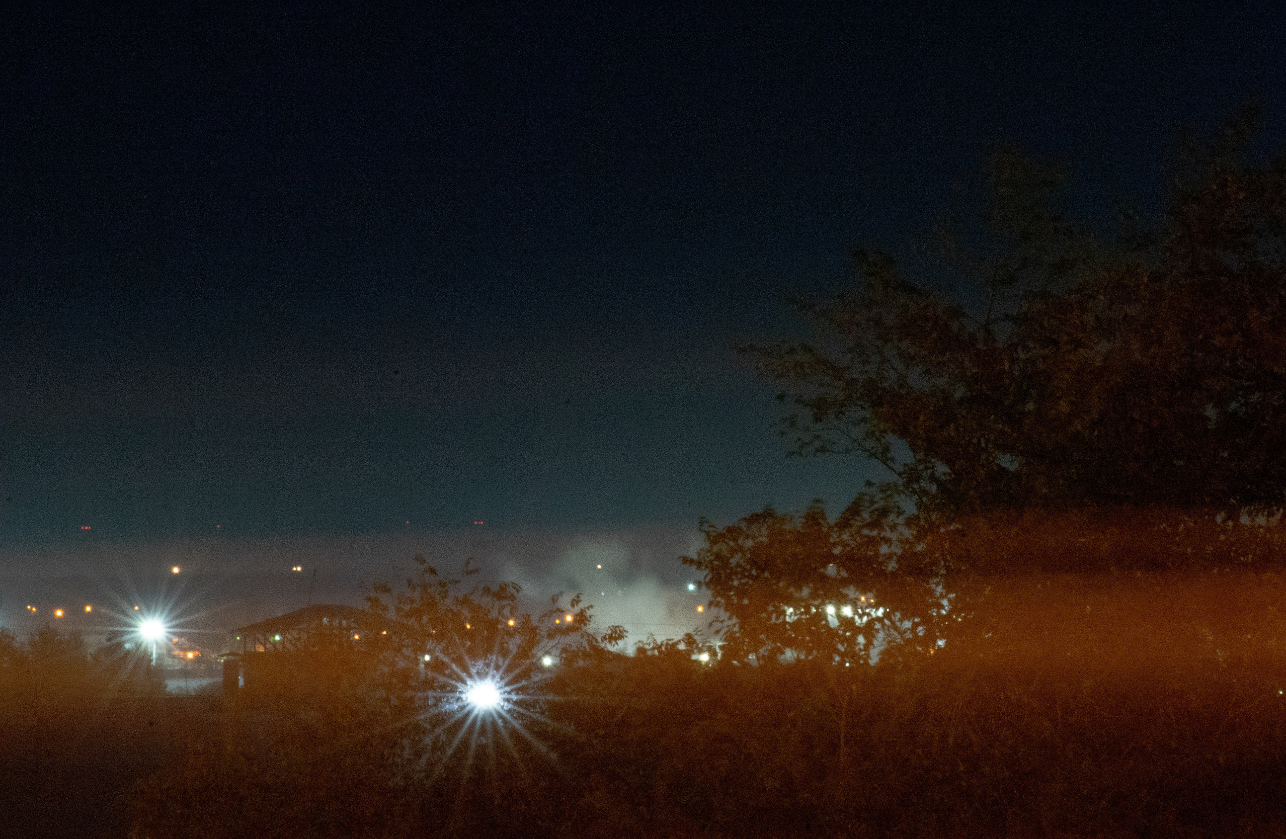 Portfolio. Whoii art