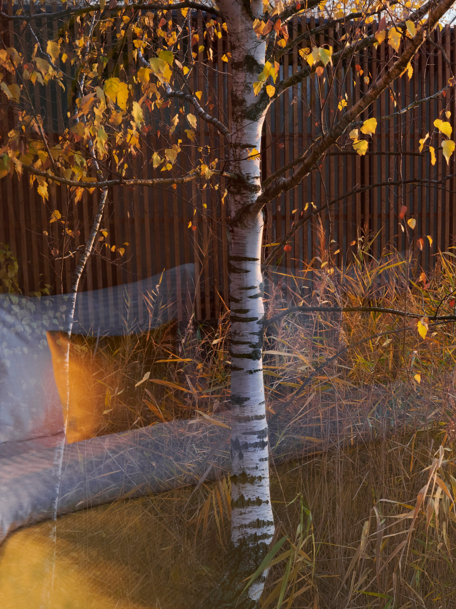 Глэмпинг «Аномалия» — фотосъёмка для сайта и бронирований | Свободный Продакшн. Фотограф для дизайнеров, застройщиков и бизнеса — интерьеры и архитектура — Свободный Роман в Москве и по России