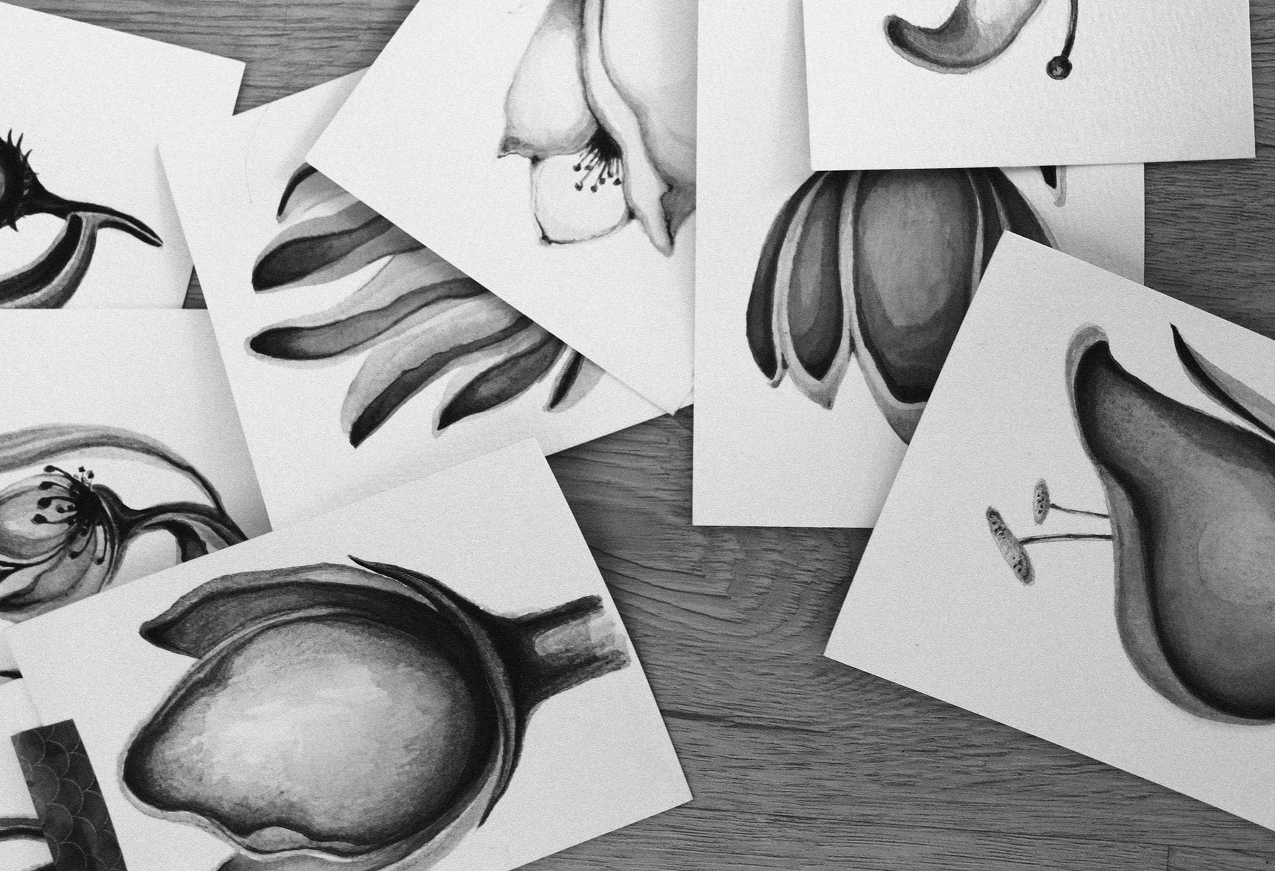 FLORARIUM FANTASTICUM 2026. Maria Massouh | Arts