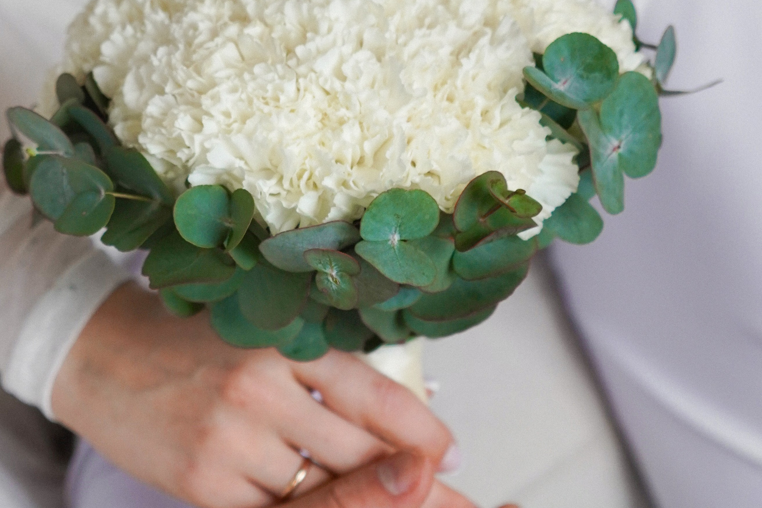 Фотограф и видеограф Зеленская Дарья