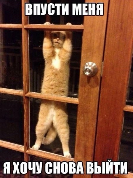 Юмор. Марина Рыбкина — Глубинная психология