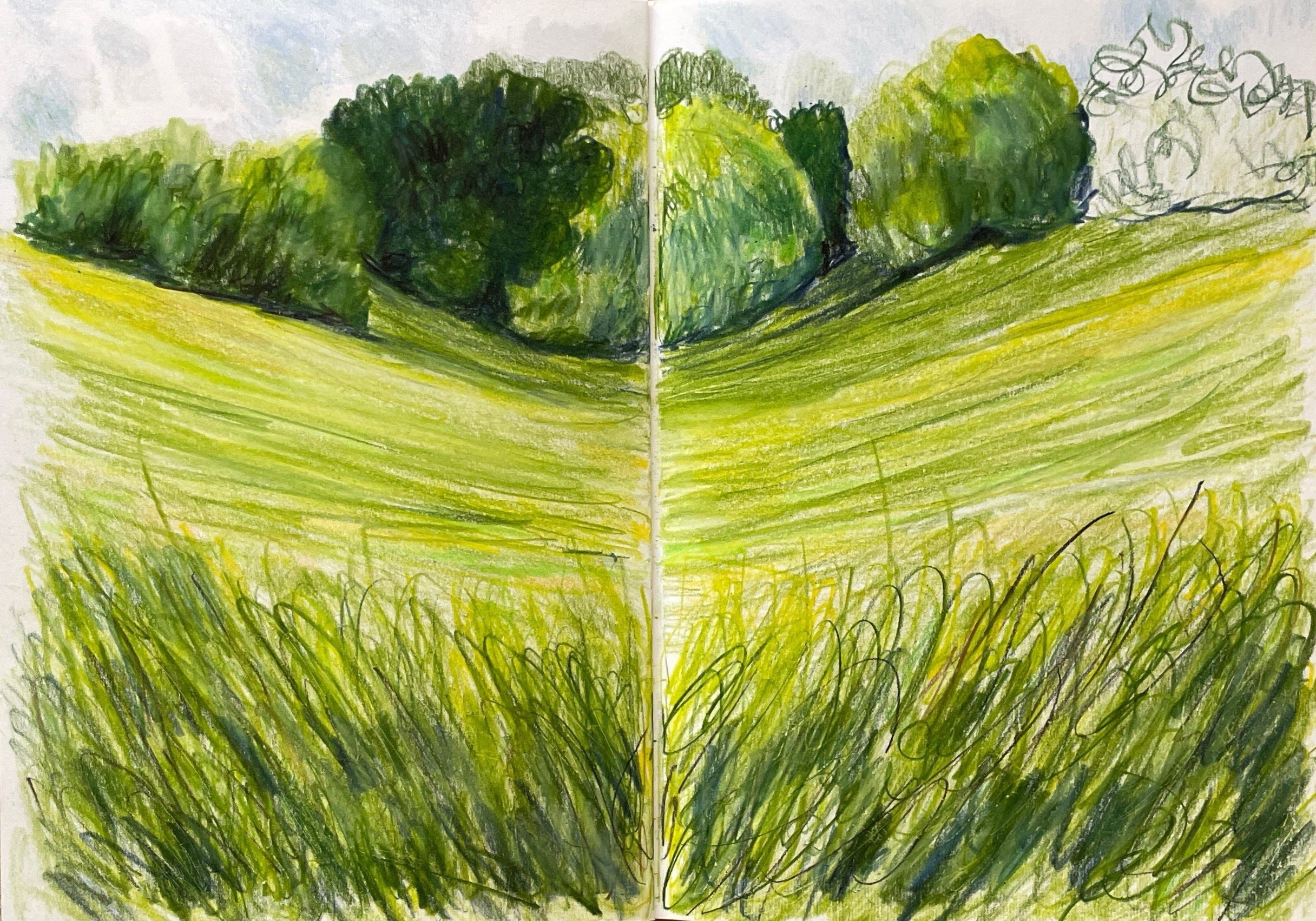 Песнь сердца. Аня Степанова