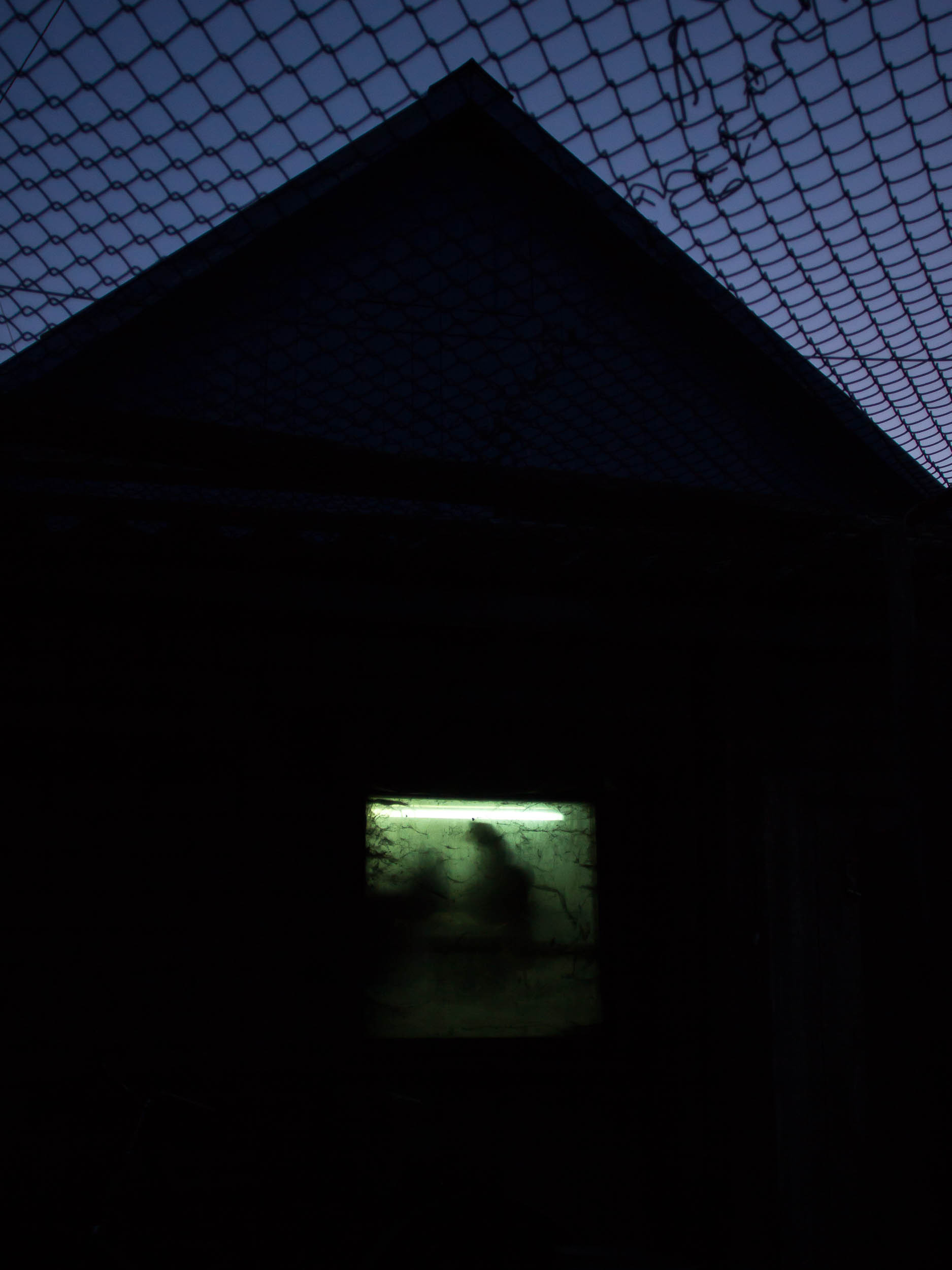 Персональная выставка Елены Терентьевой ''Чувство дома''