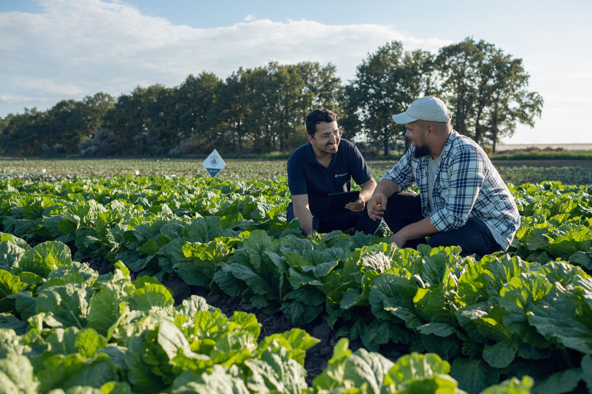 Global farming supported by Eurochem. Photographer Sergei Tatarskikh