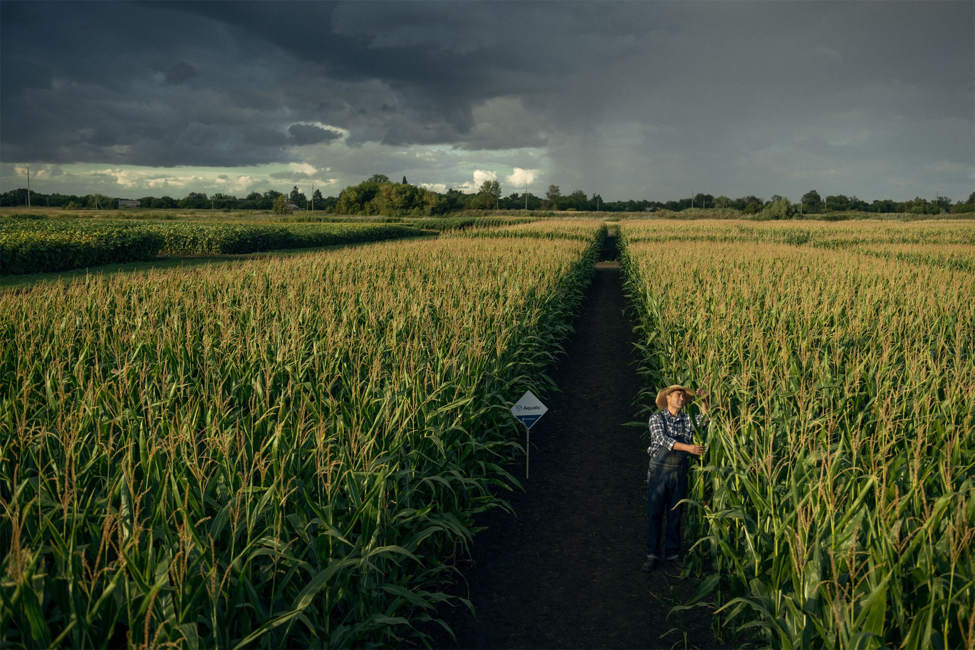 Global farming supported by Eurochem. Photographer Sergei Tatarskikh
