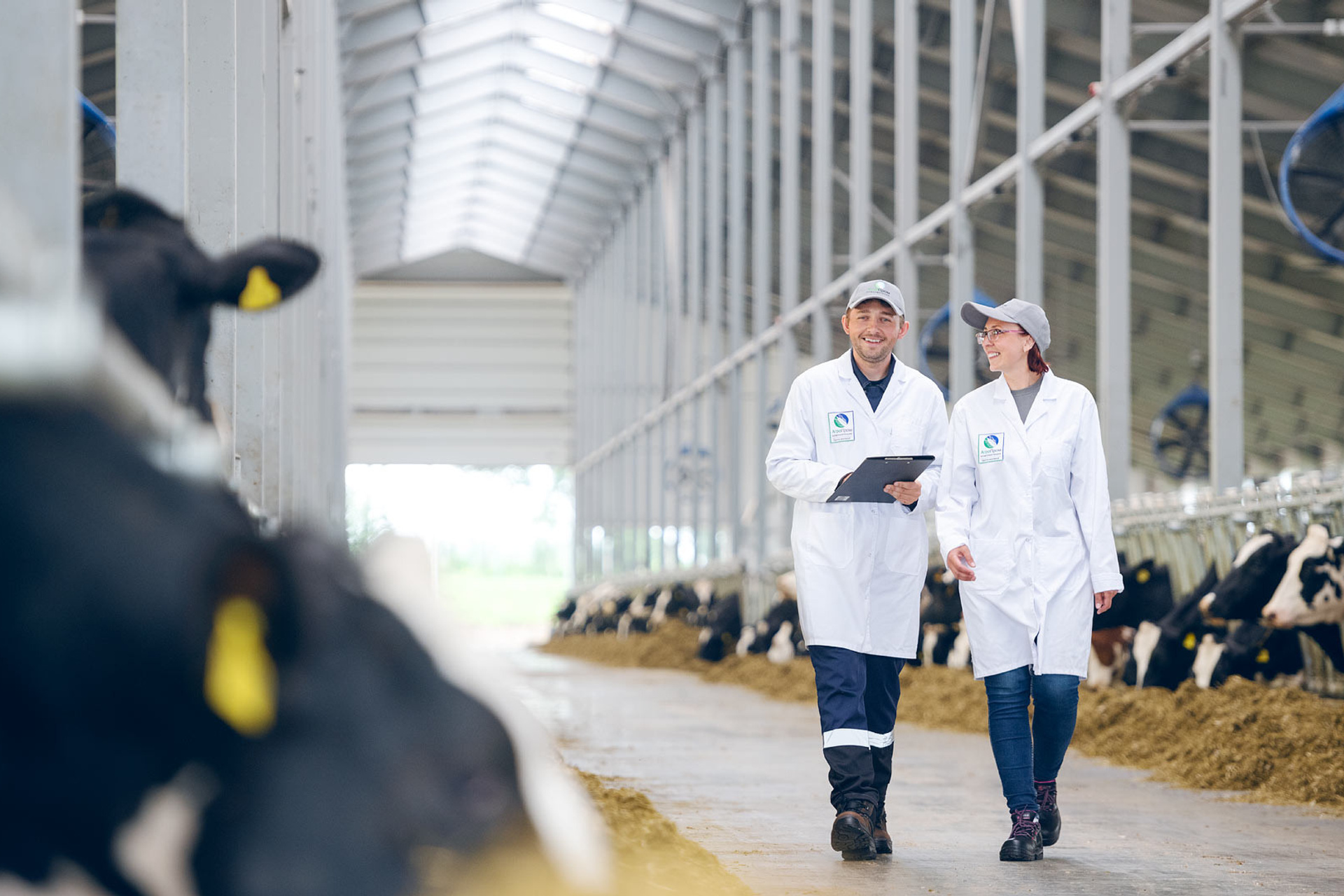 APK. Photographer Sergei Tatarskikh