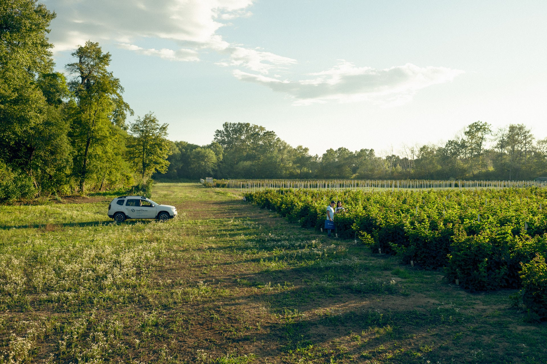 Global farming supported by Eurochem. Photographer Sergei Tatarskikh