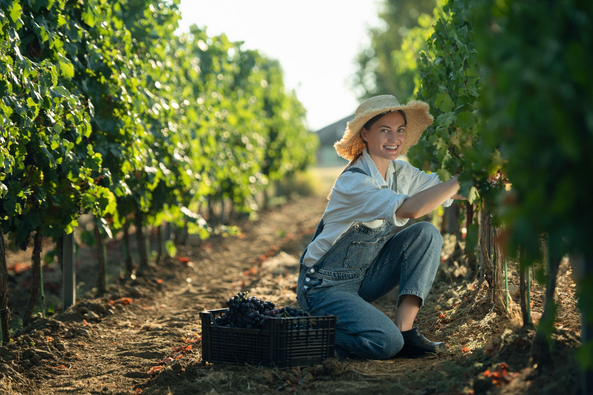 Global farming supported by Eurochem. Photographer Sergei Tatarskikh