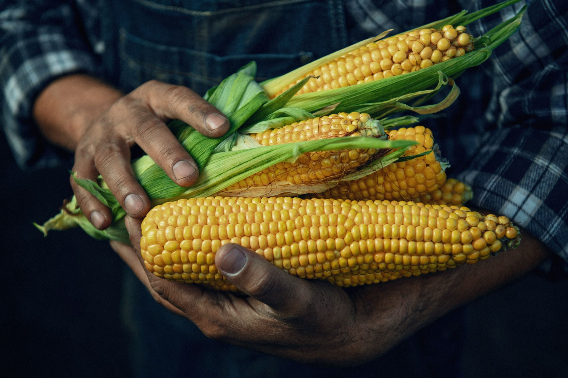 Global farming supported by Eurochem. Photographer Sergei Tatarskikh
