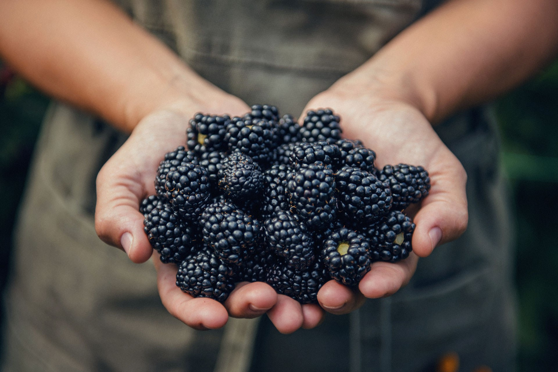 Global farming supported by Eurochem. Photographer Sergei Tatarskikh