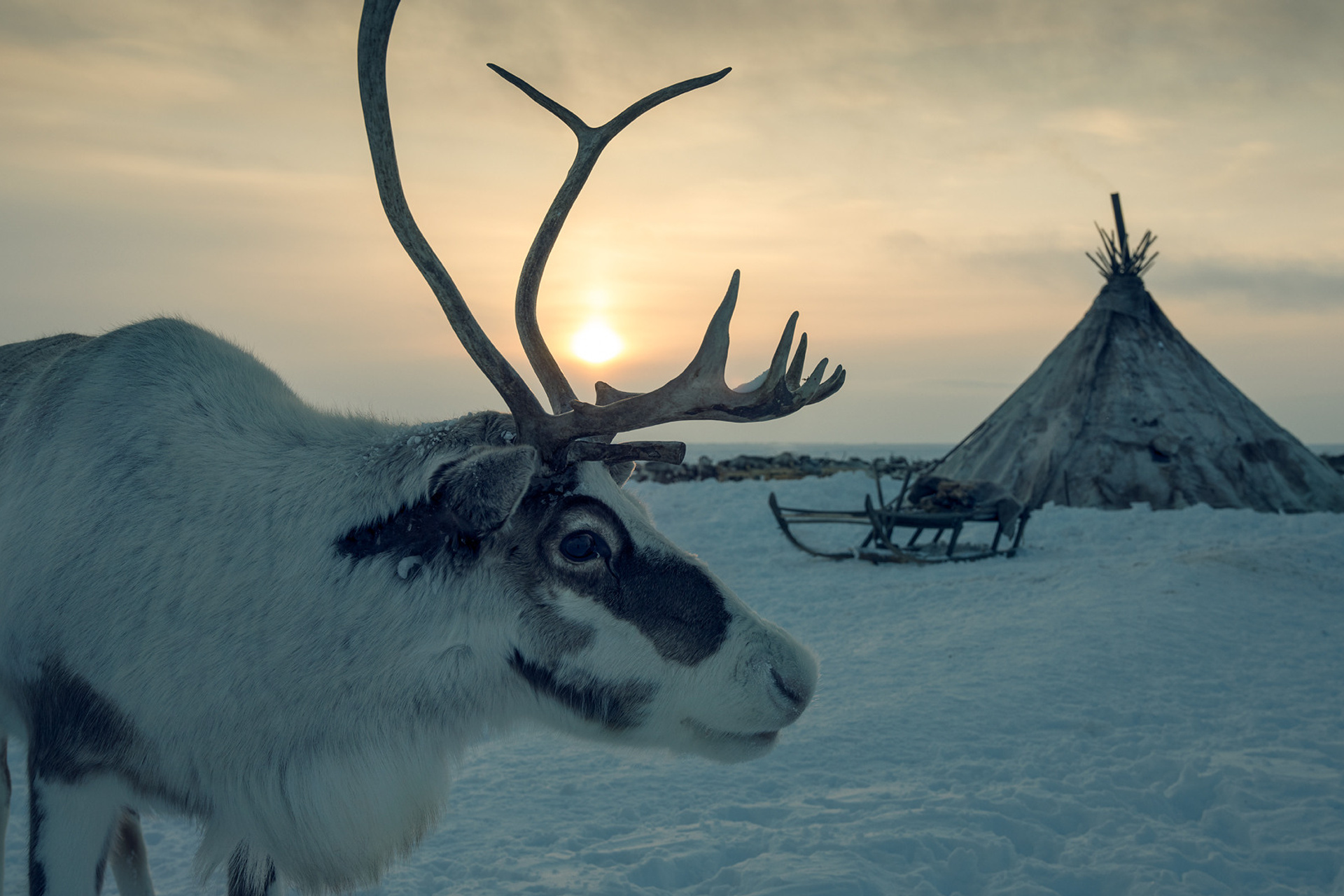 Gazprom Neft. Photographer Sergei Tatarskikh