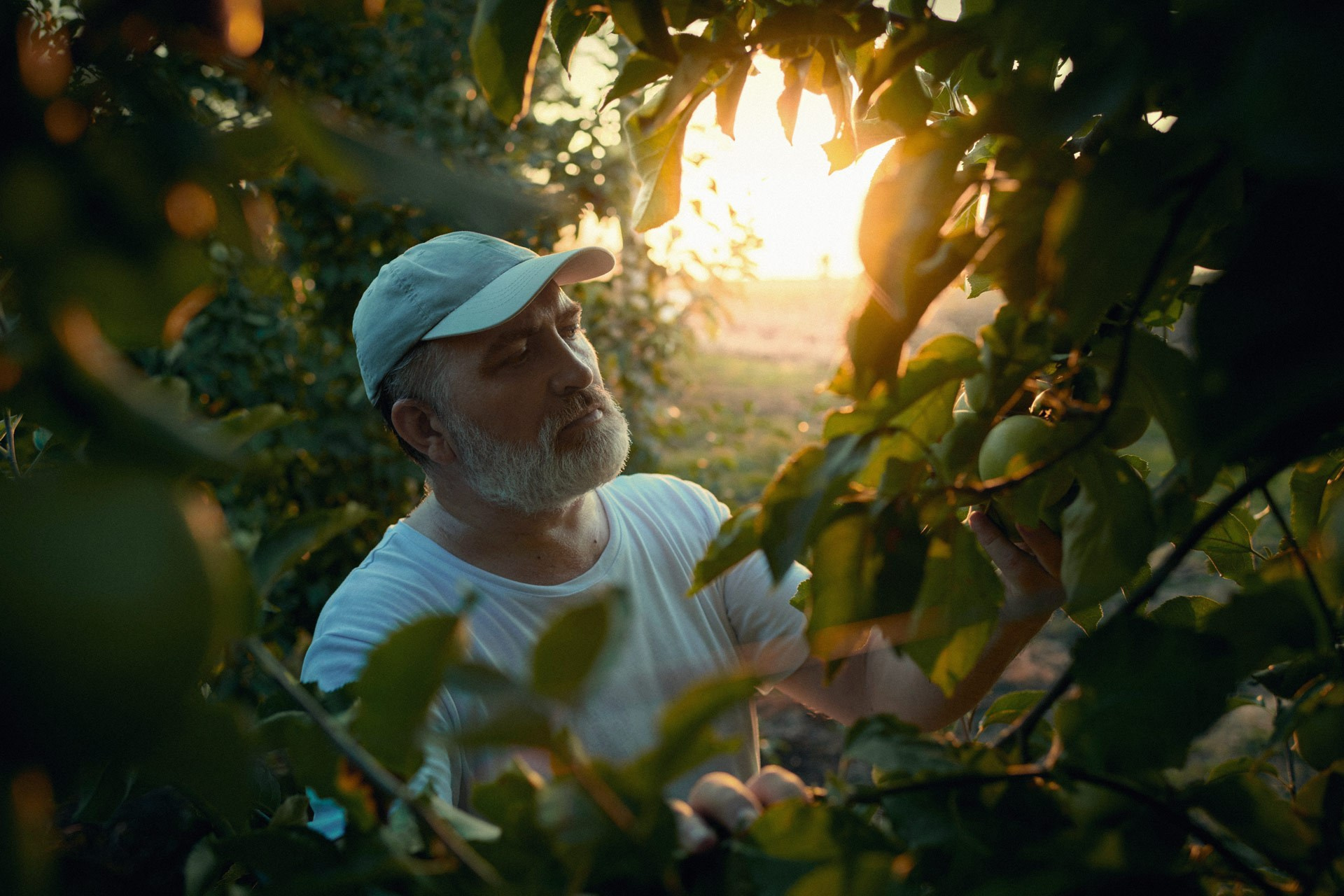 Global farming supported by Eurochem. Photographer Sergei Tatarskikh